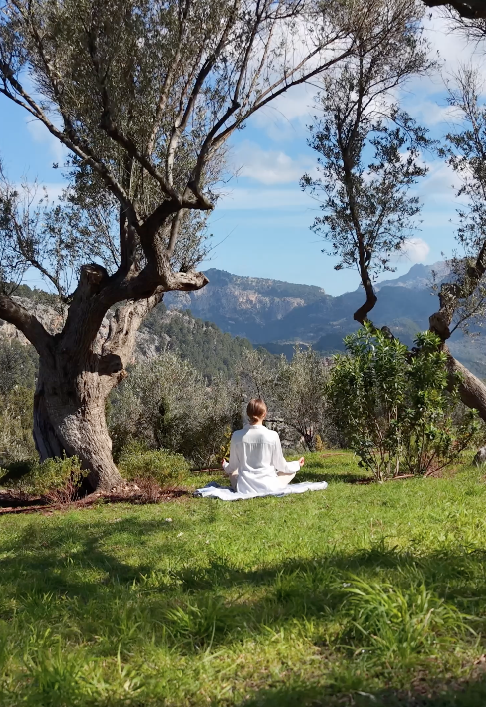 Person sitting cross-legged on a blanket in a peaceful outdoor setting with green grass, olive trees, and mountain views behind.