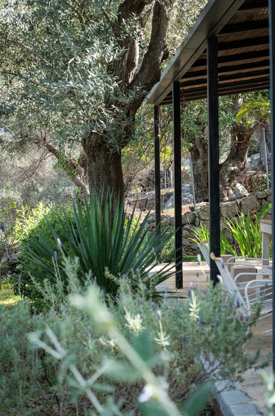 The mountain studio, lush green plants, a large tree, and a structure with a corrugated roof and black metal supports surrounded by rocks and greenery.