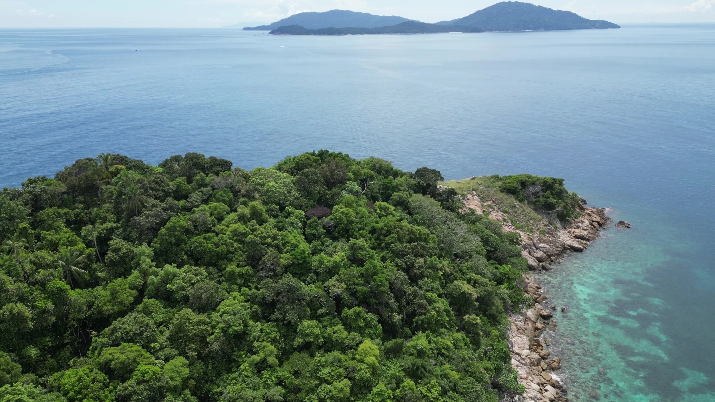 dji_fly_20241012_061420_394_1728712783045_video - frame at 0m8s.jpg