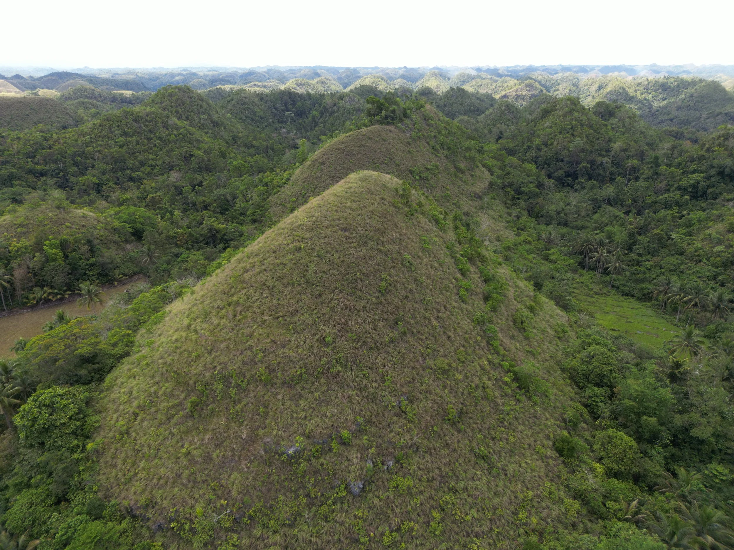 dji_fly_20260317_063626_422_1773738703593_photo 2.jpeg