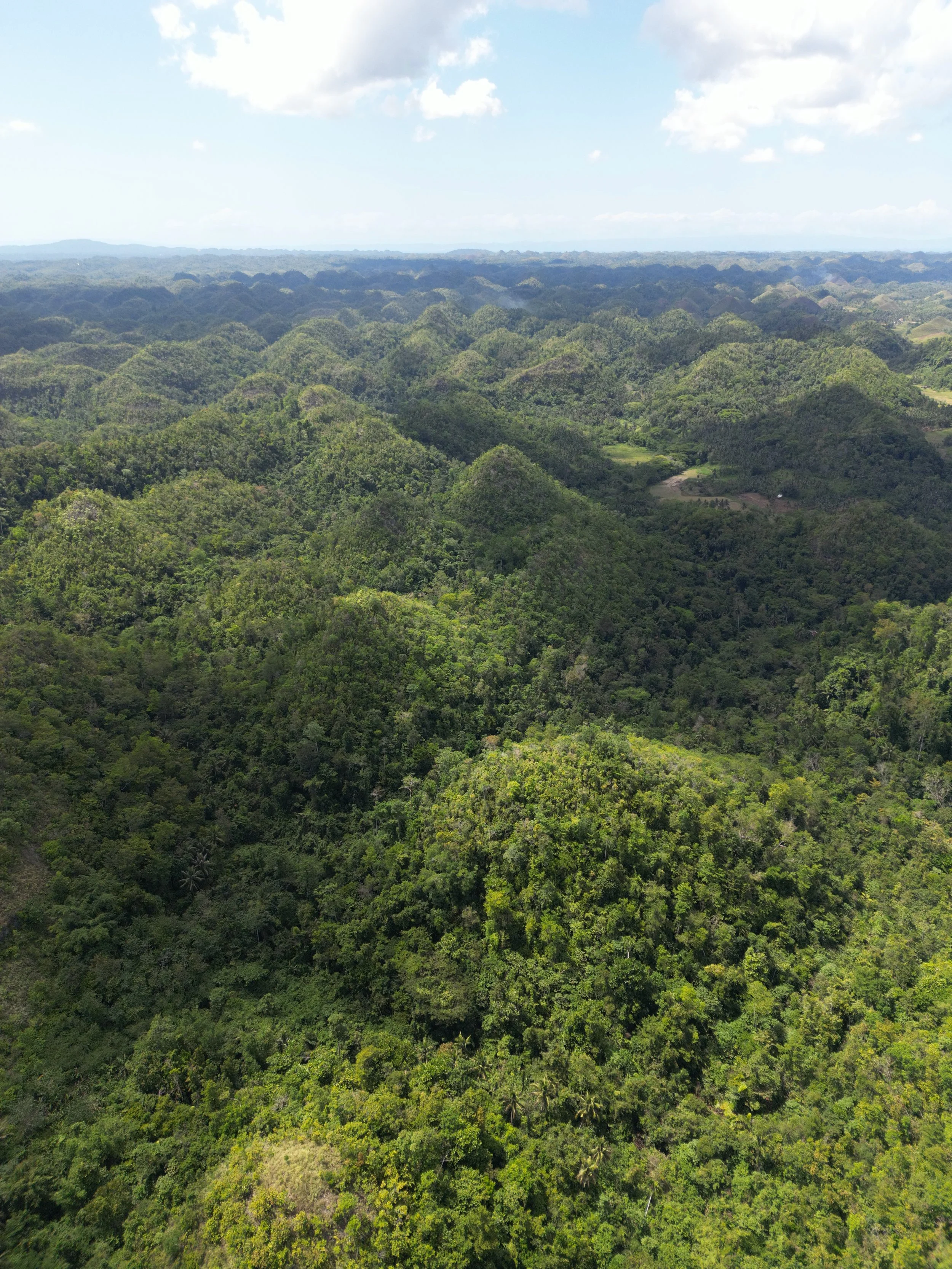 dji_fly_20260317_063148_405_1773738746964_photo.jpeg