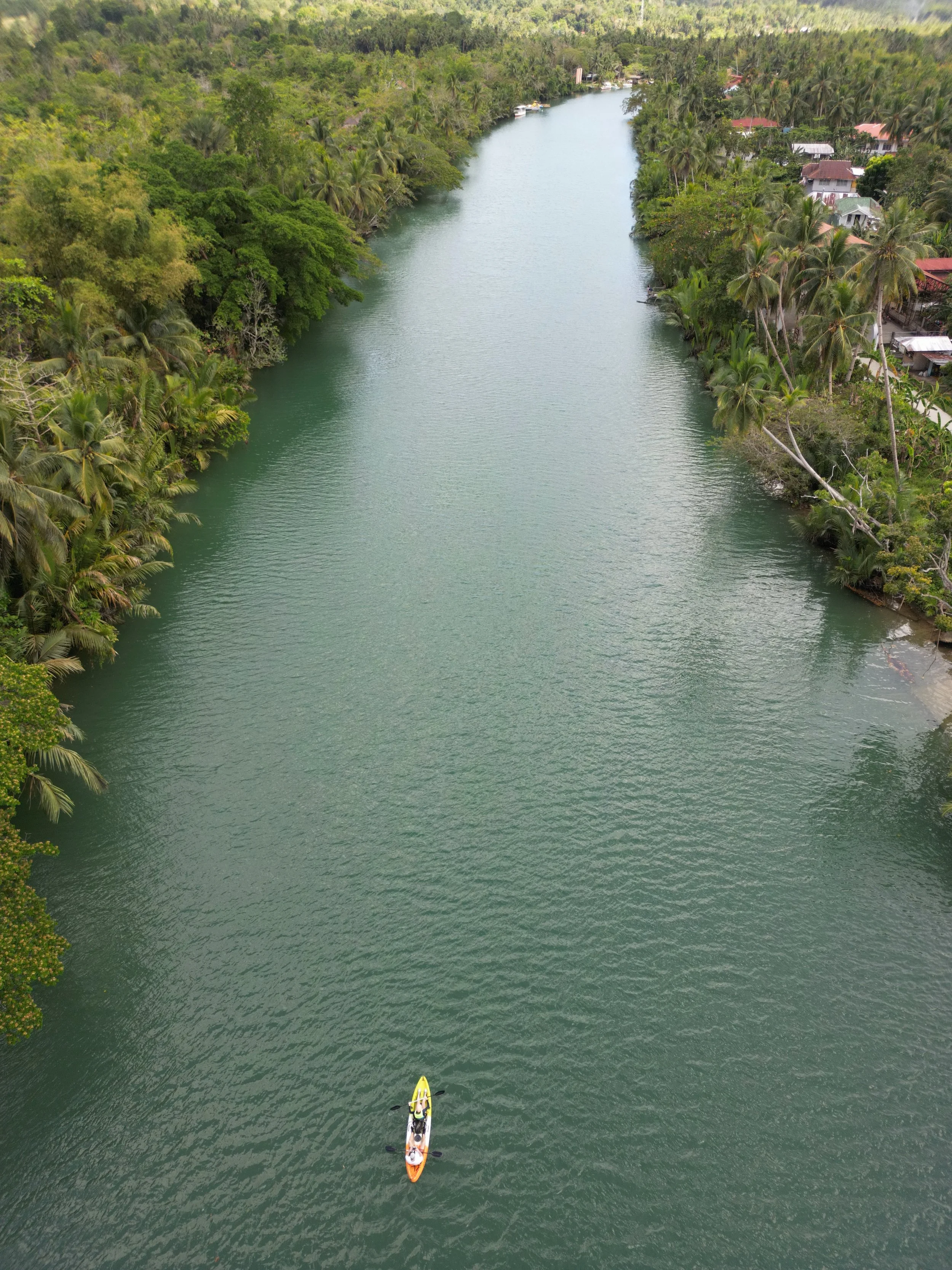 dji_fly_20260318_071706_508_1773820123286_photo 2.jpeg