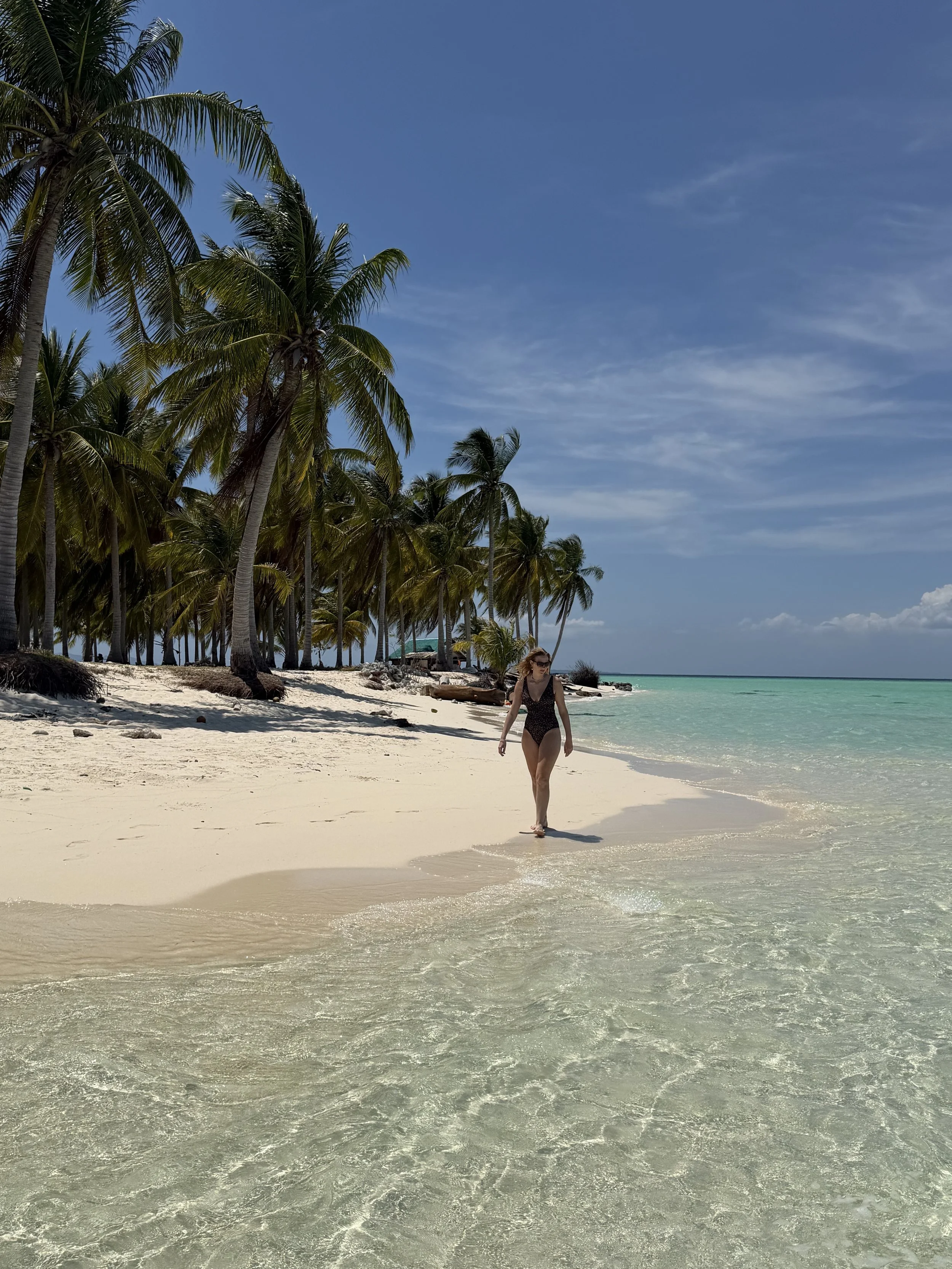 Palm trees, white sand, crystal clear water