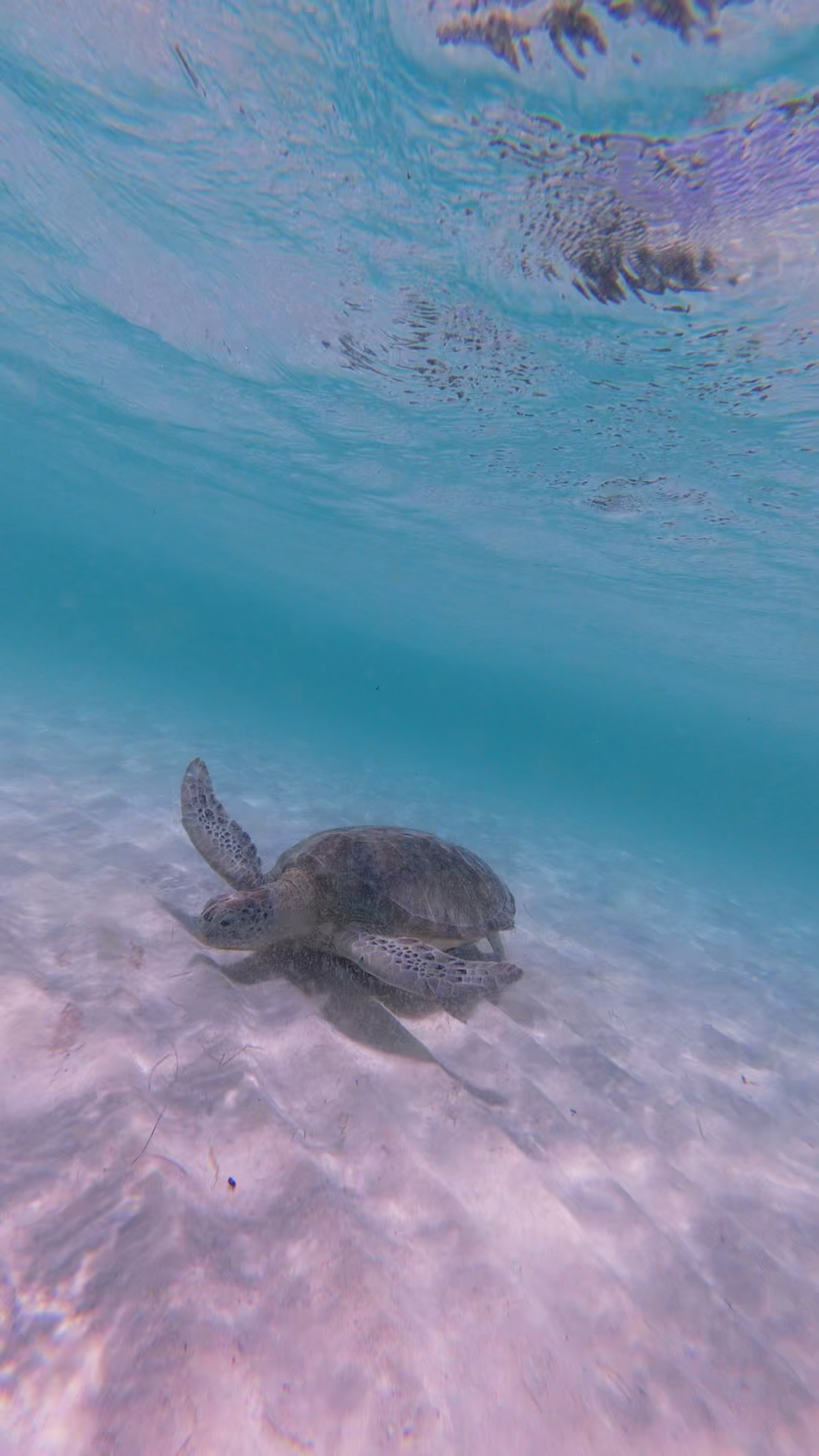 And of course we found them underwater too