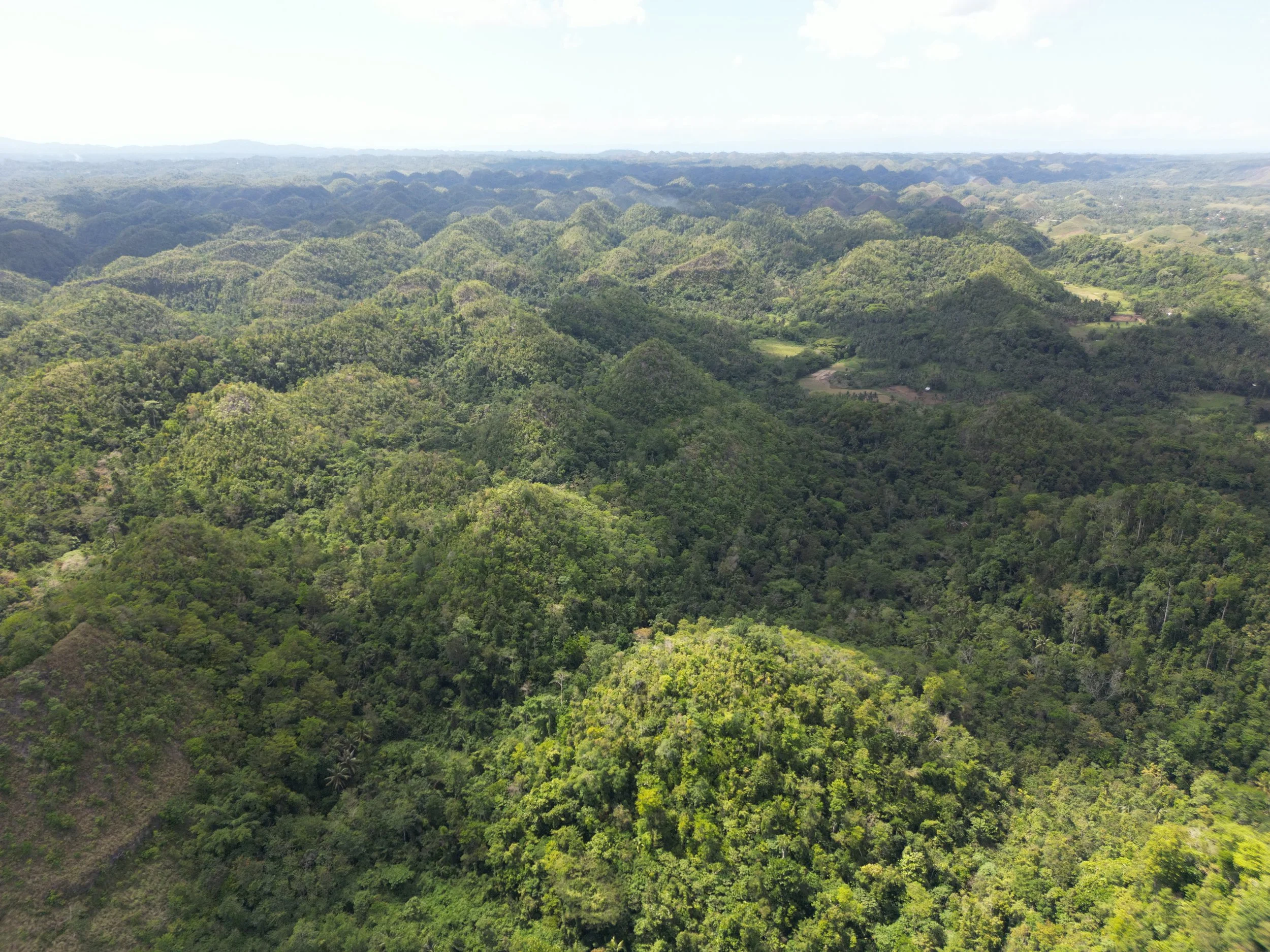 The unbelievable view a drone can give you of the Chocolate Hills in Bohol.