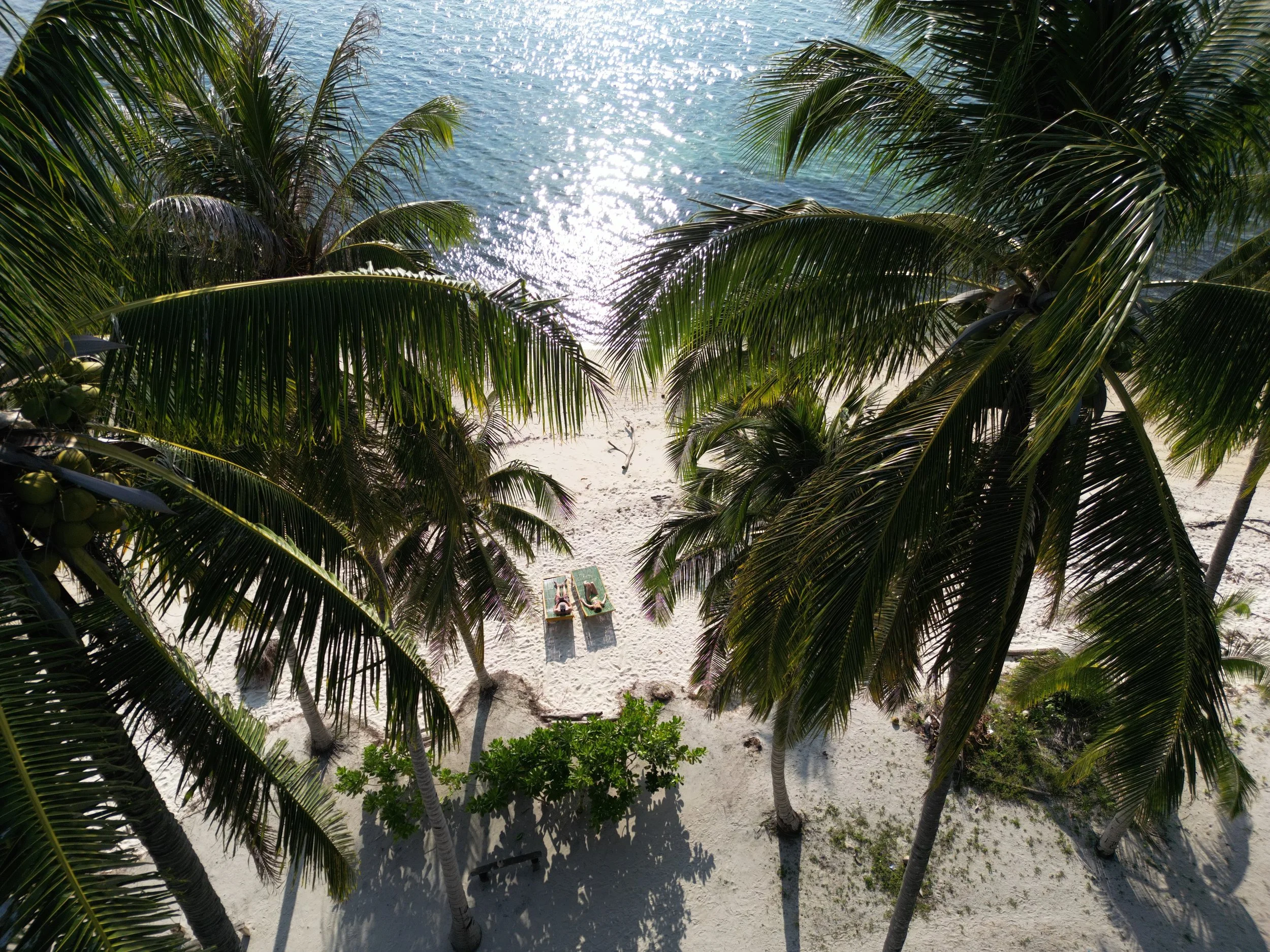 Overhead view of a sandy beach with palm trees and two lounge chairs.