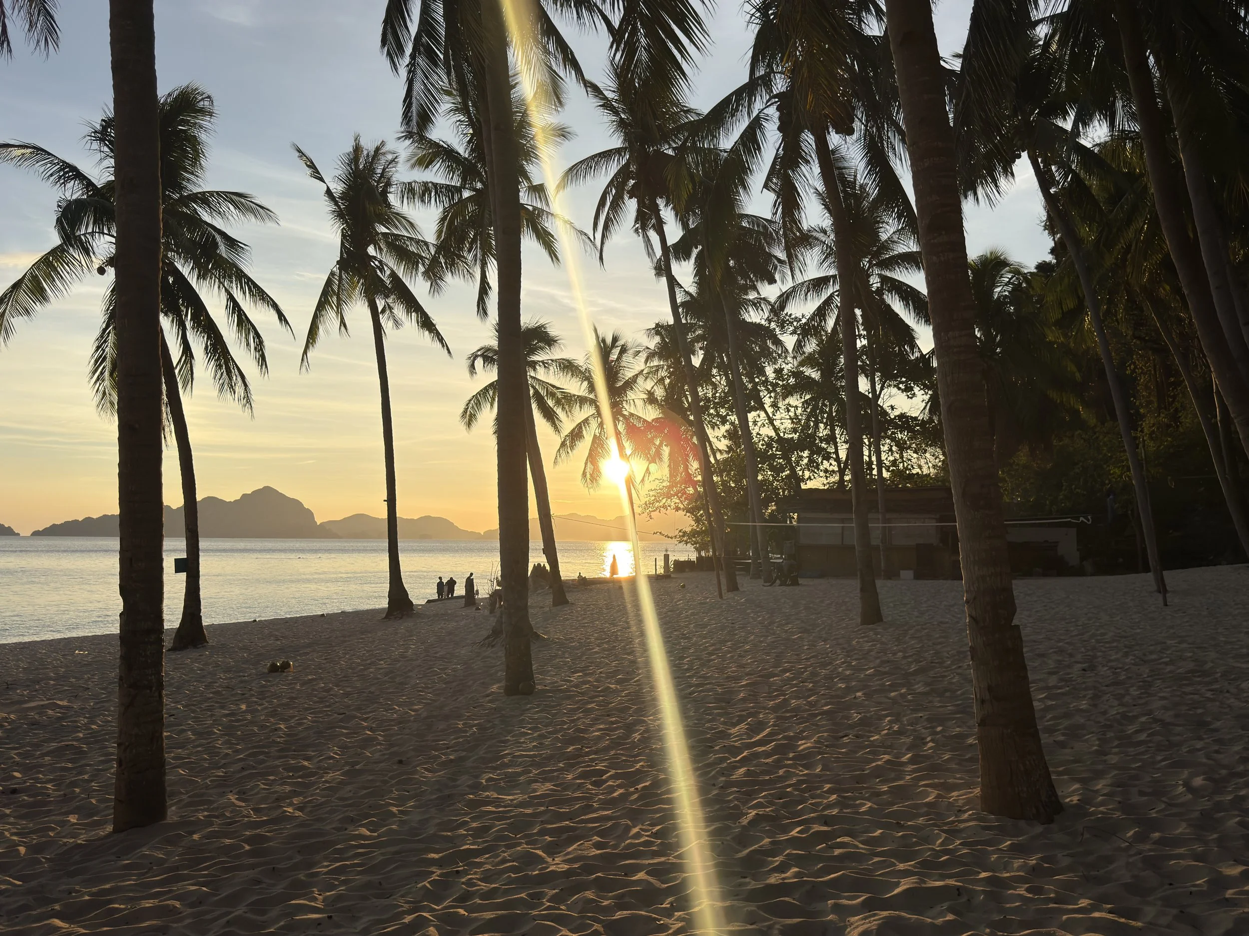 Palm trees at sunset on Seven Commandos Beach, El Nido