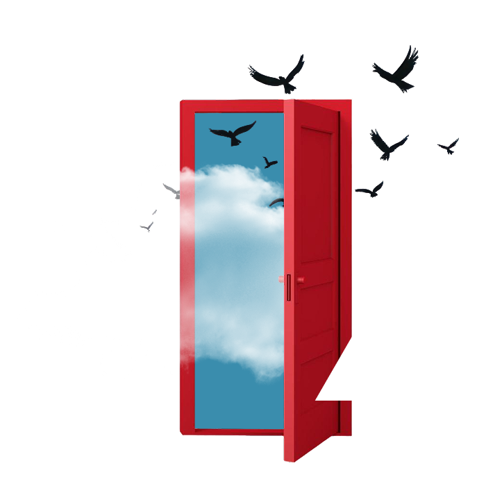 Open red door with birds flying out, representing grant resources and new opportunities