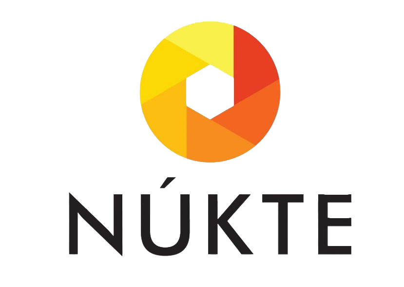 A pie chart with segments in yellow, orange, red, and light blue, above the word 'NUKTE' with the letter 'I' highlighted in green.