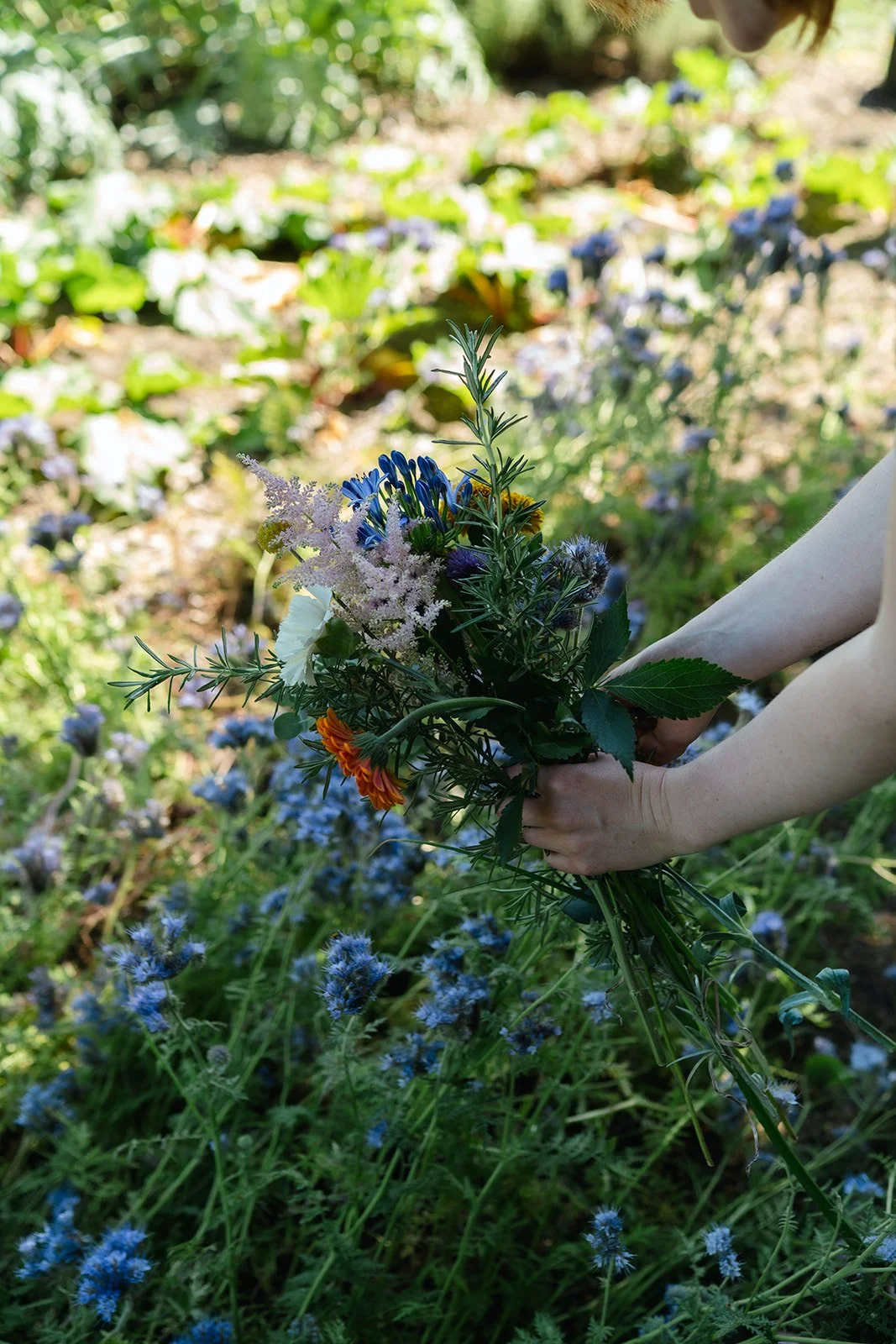 A person holding a bouquet of various colorful flowers outdoors in a garden, with a blurred background of green plants and blue flowers.