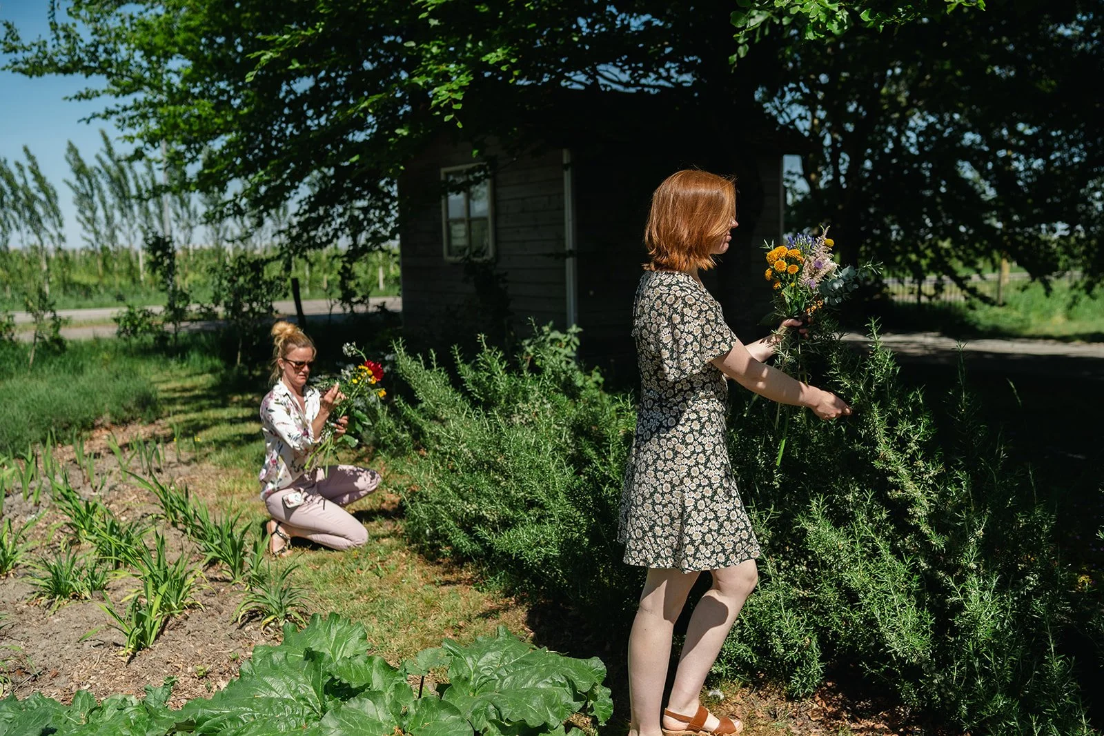 Two women in a garden, one standing and holding a bouquet of flowers and the other crouching while picking flowers, with lush greenery and a wooden shed in the background on a sunny day.