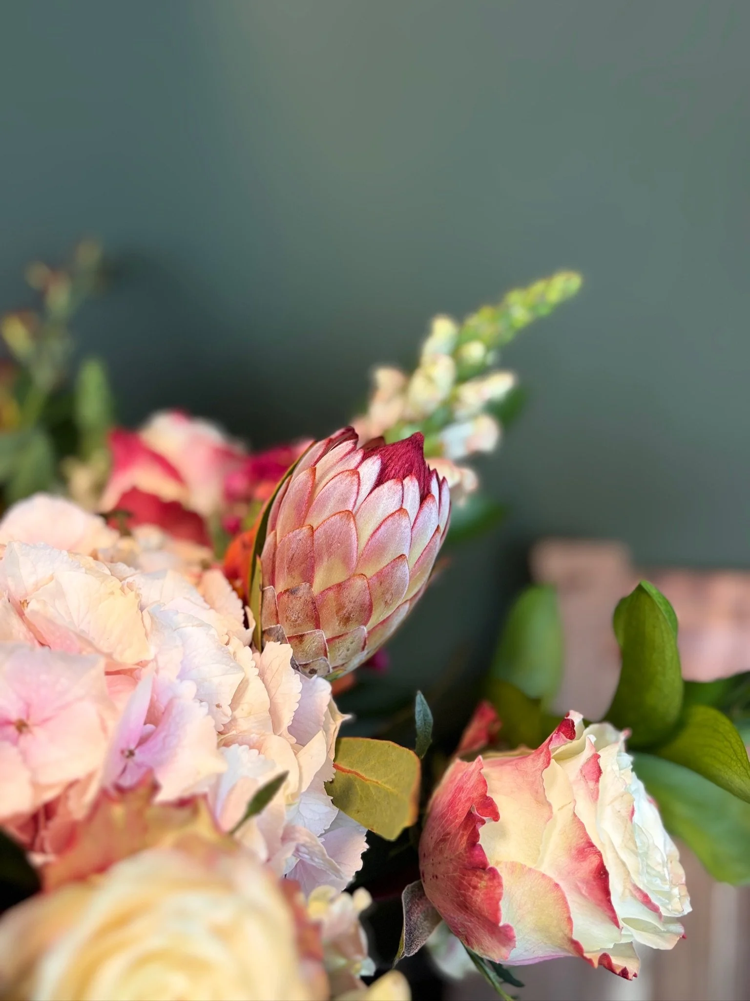 Close-up of pink and white flowers, focusing on a large, pink-tipped flower in the center with surrounding petals in pastel shades.