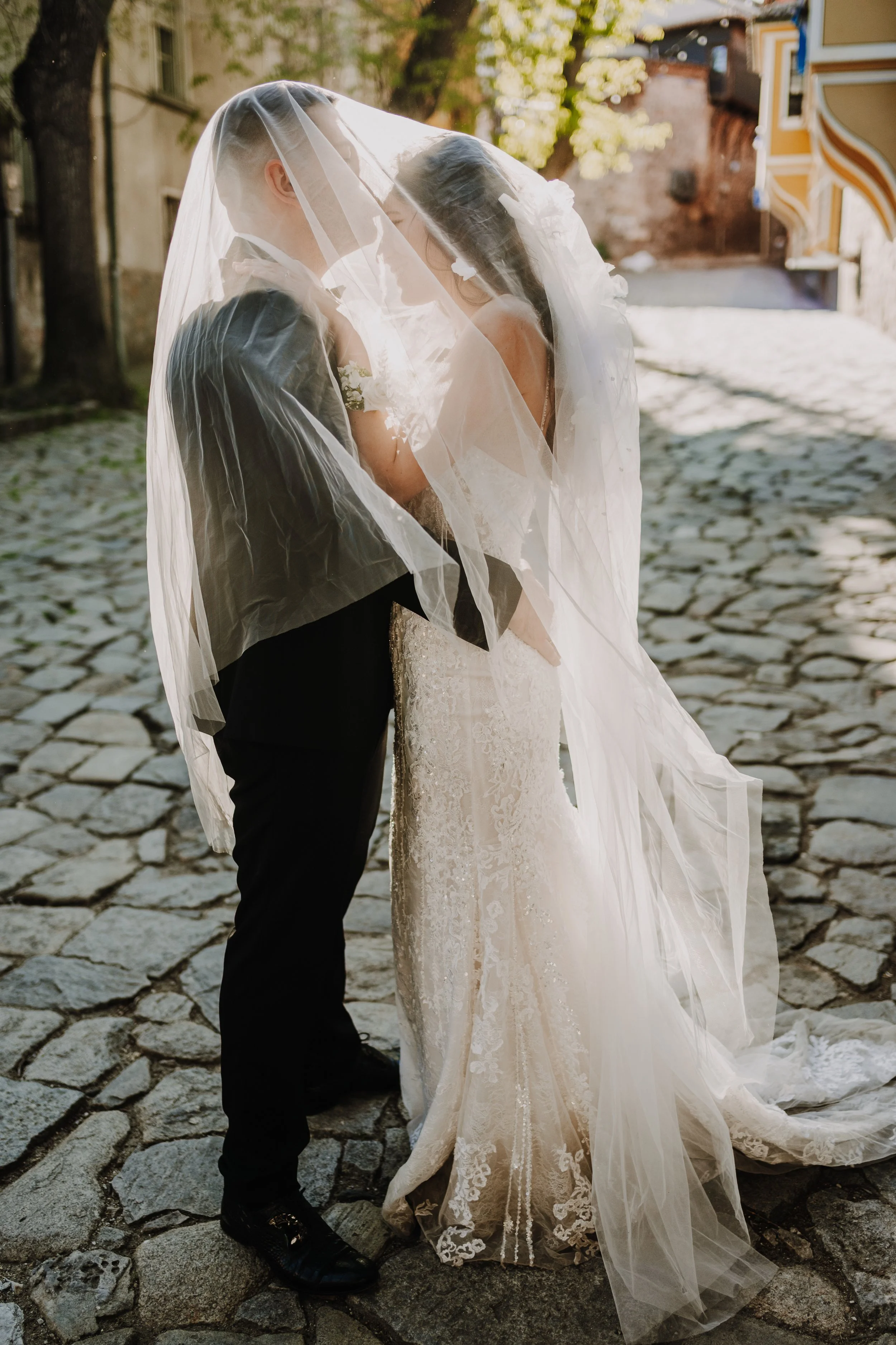 V + I  (83).jpg