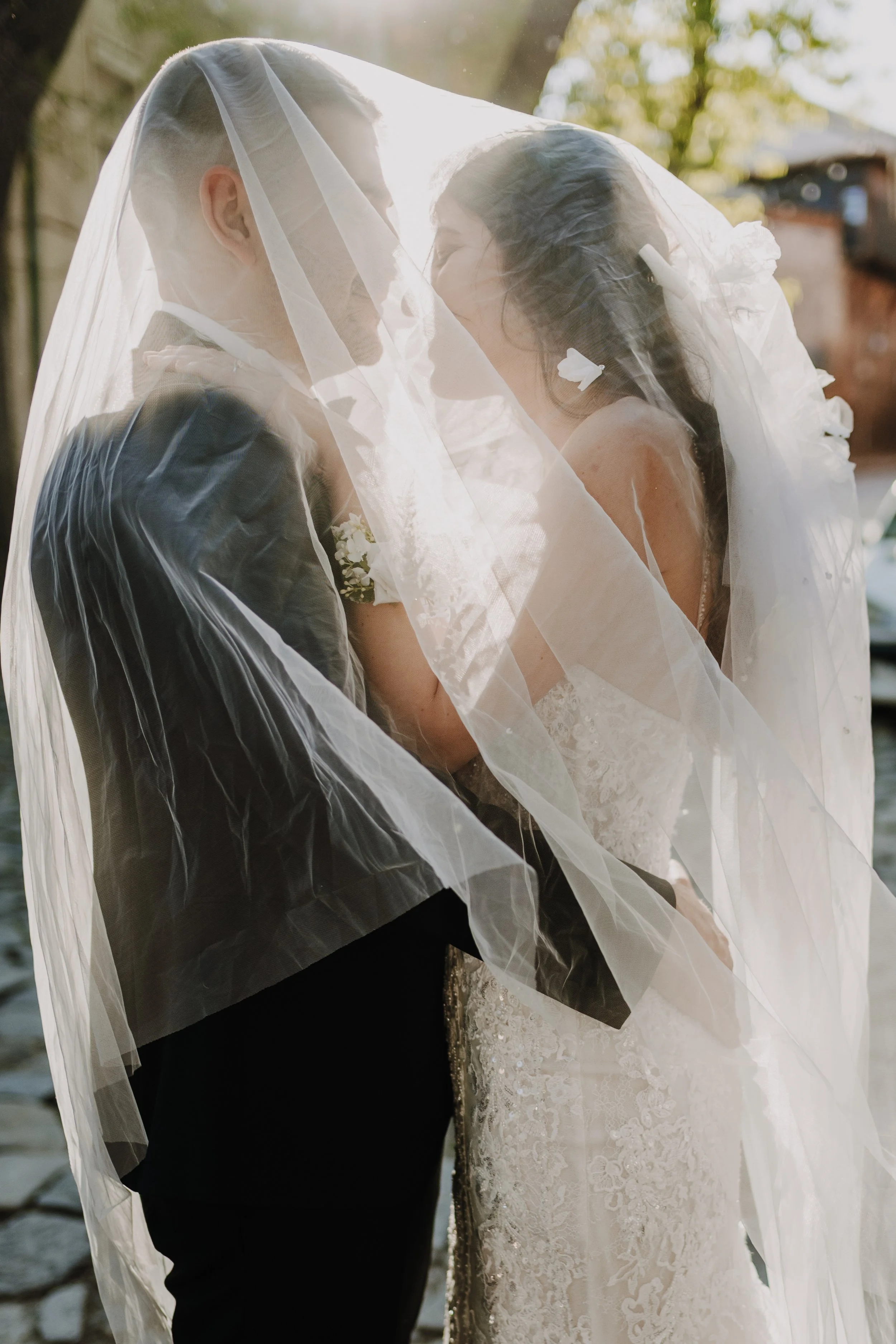 V + I  (82).jpg