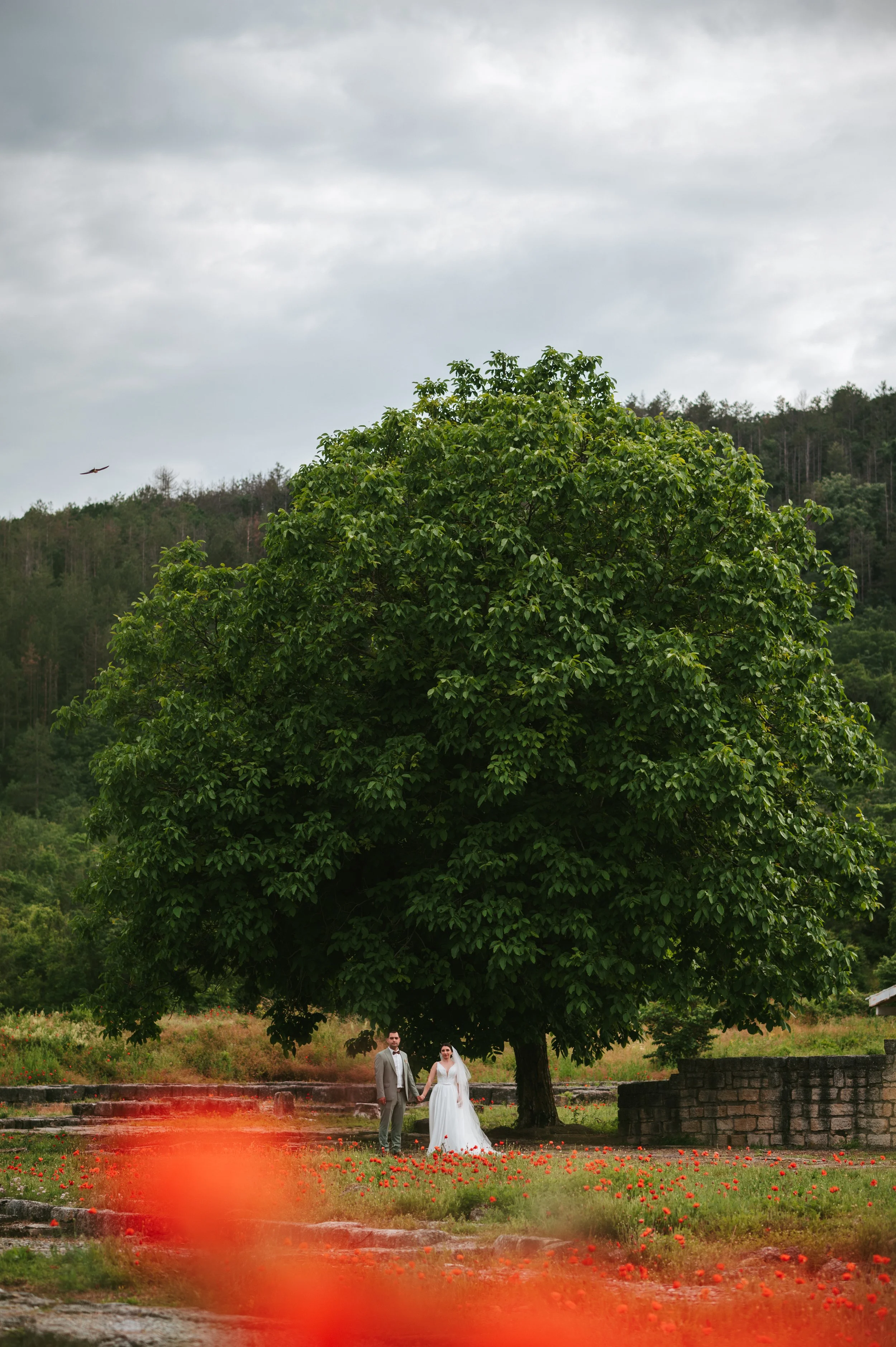 Wedding story Reni and Miro (908).jpg
