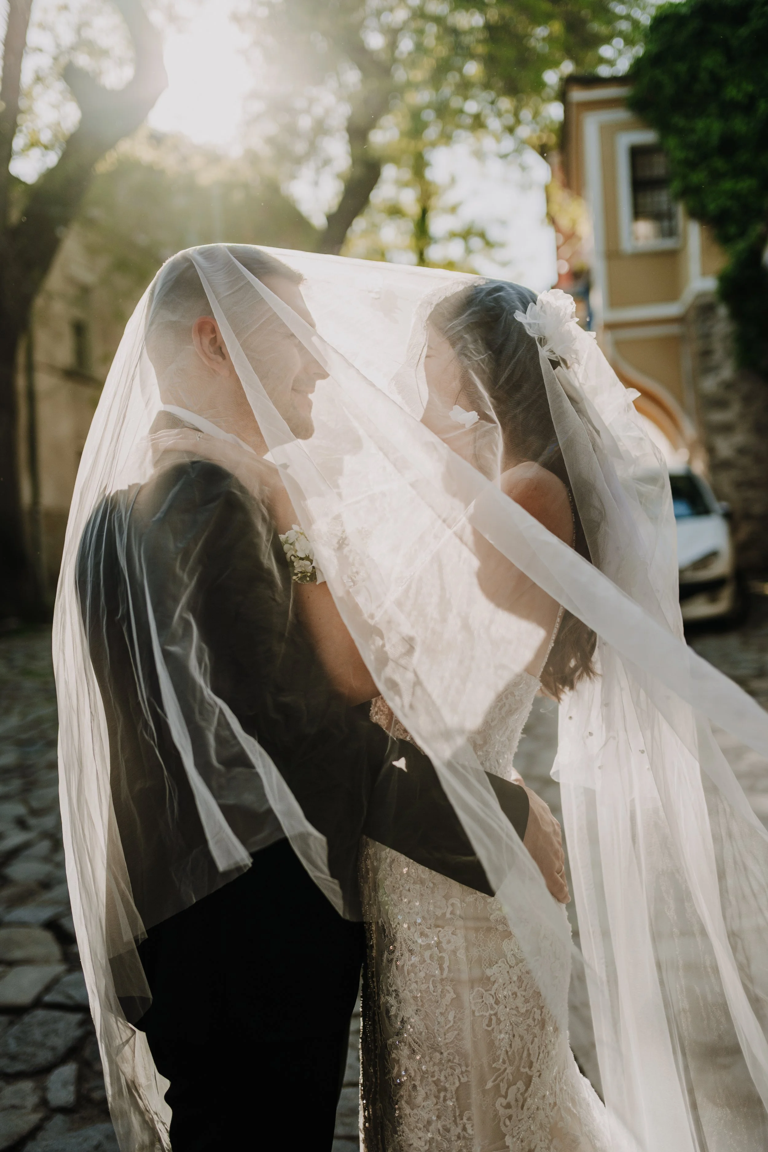 V + I  (81).jpg
