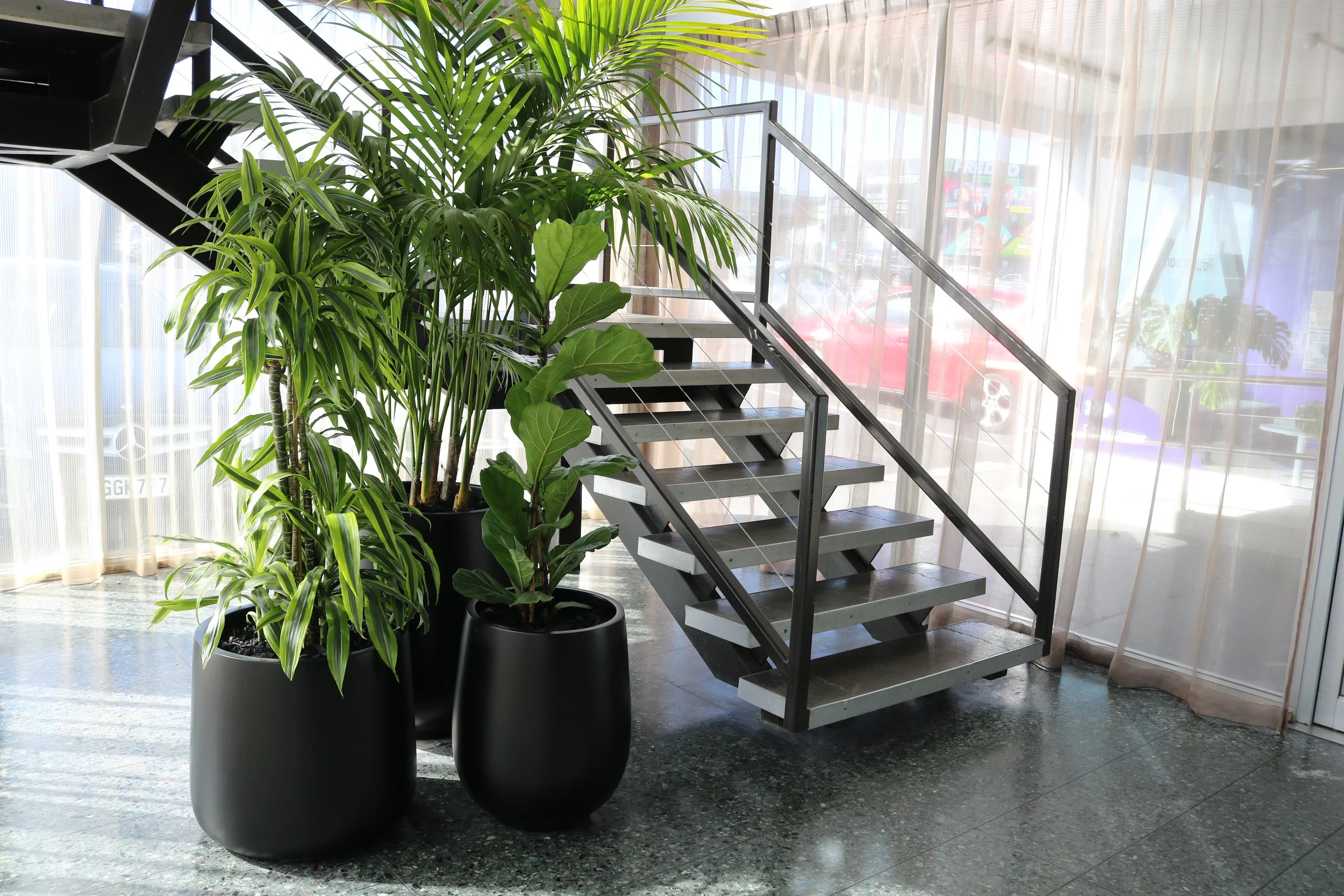 Intérieur moderne avec des plantes vertes en pots noirs, un escalier métallique, et des rideaux transparents laissant passer la lumière naturelle.