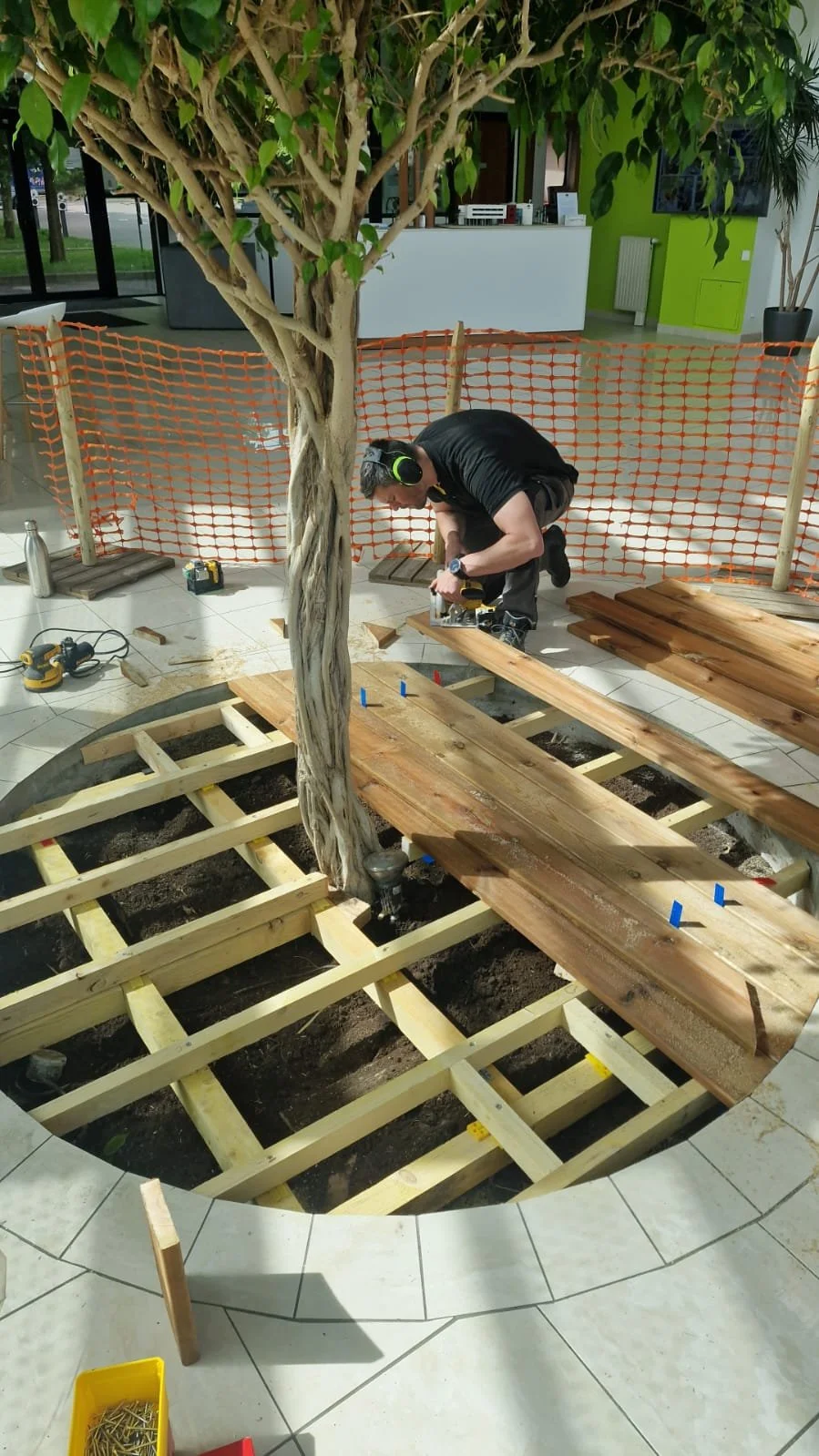 Un homme en train de travailler sur l'installation d'une plateforme en bois autour d'un arbre intérieur, avec des outils et du bois à proximité, dans un espace intérieur avec des plantes et des murs verts.