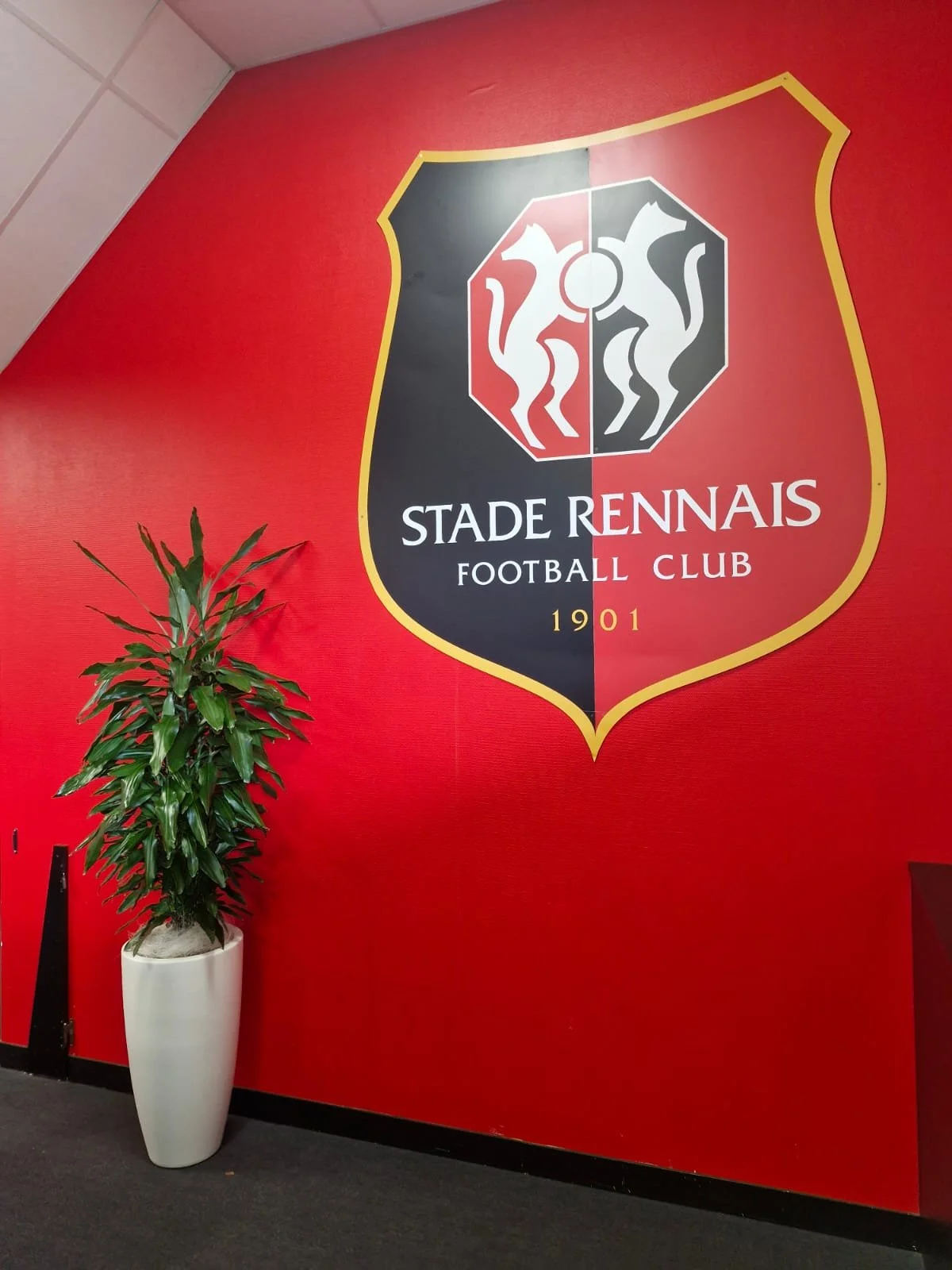 Logo du Stade Rennais Football Club sur un mur rouge, accompagné d'une plante verte en pot blanc.