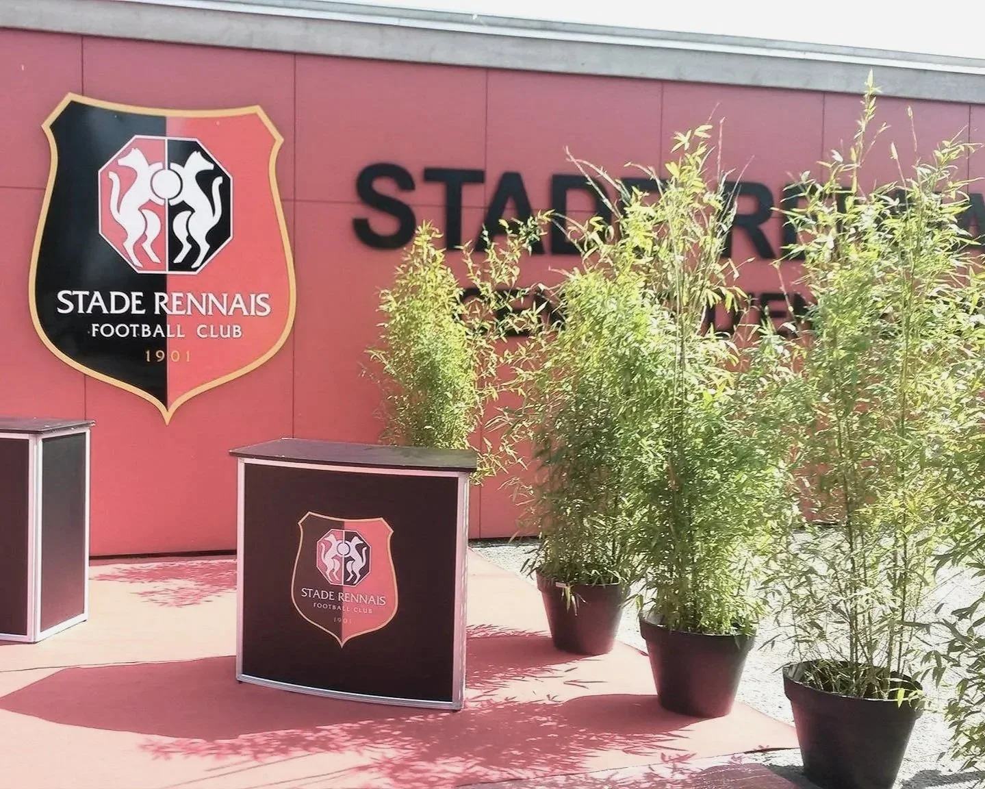 Logo du club de football Stade Rennais sur un mur rose avec quatre grands pots de plantes derrière un comptoir noir portant le même logo.
