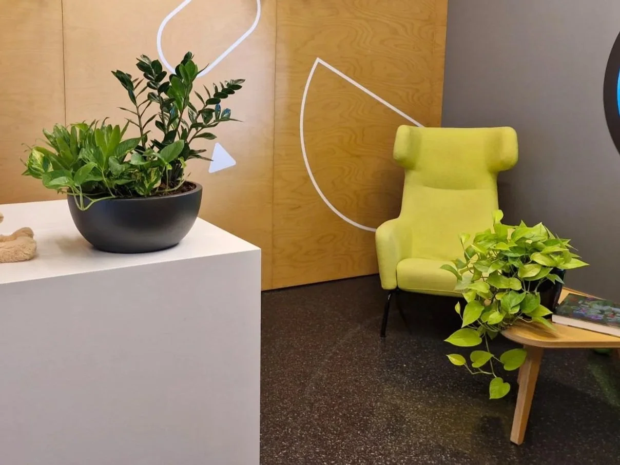 Une plante verte dans un pot noir sur un piédestal blanc, une chaise jaune avec des coussins, un petit meuble avec une autre plante verte et un magazine, et un mur en bois avec un dessin blanc.