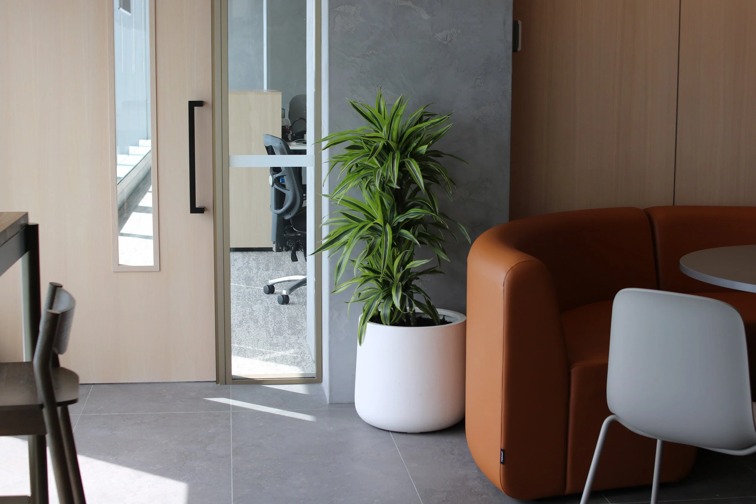 Intérieur de bureau avec une plante verte dans un grand pot blanc, une chaise blanche, un canapé orange, et une porte en verre menant à une pièce avec un bureau et une chaise.