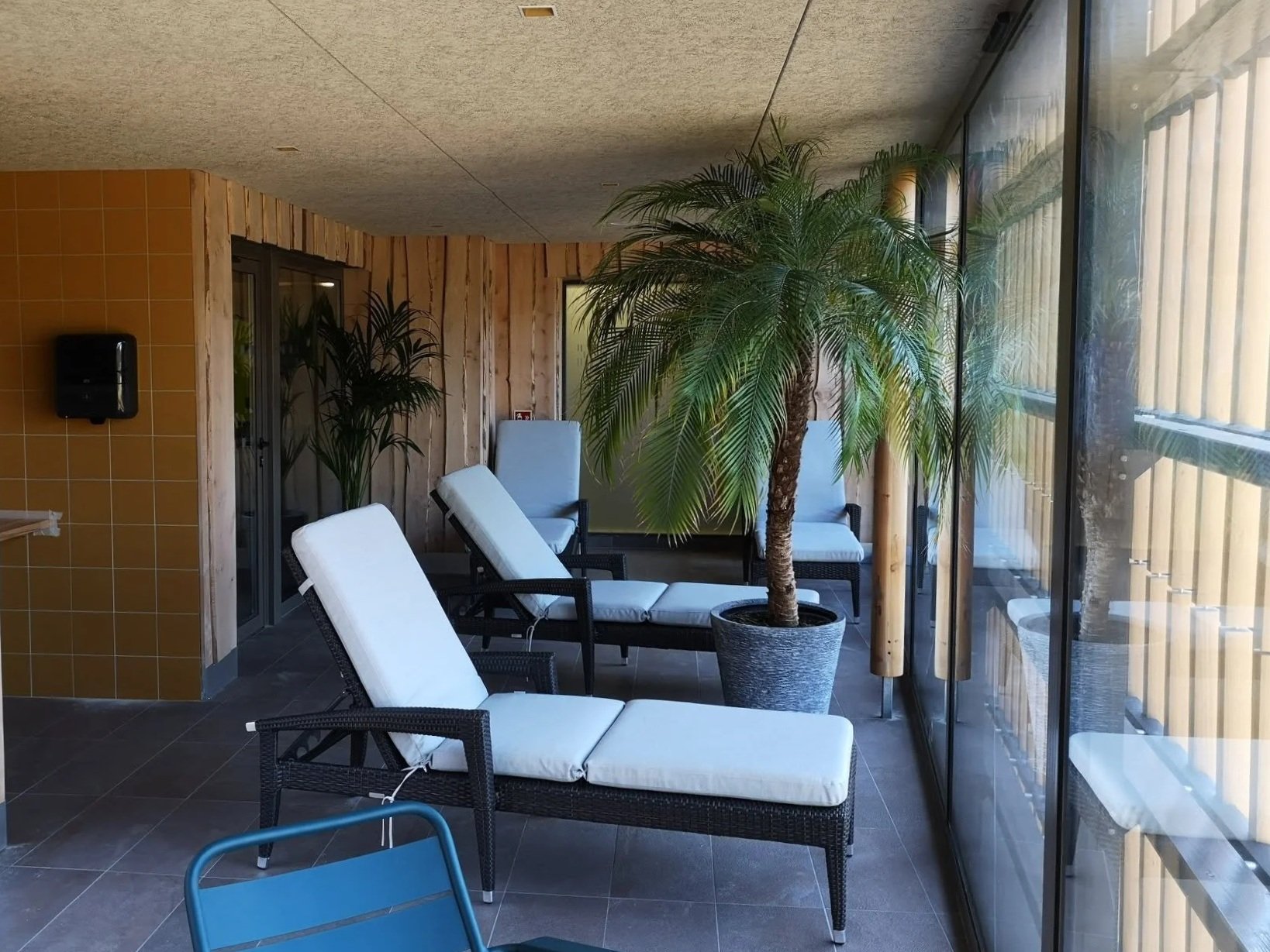 Terrasse intérieure avec des fauteuils en rotin et des coussins blancs, un palmier en pot, murs en bois avec une grande fenêtre en verre.