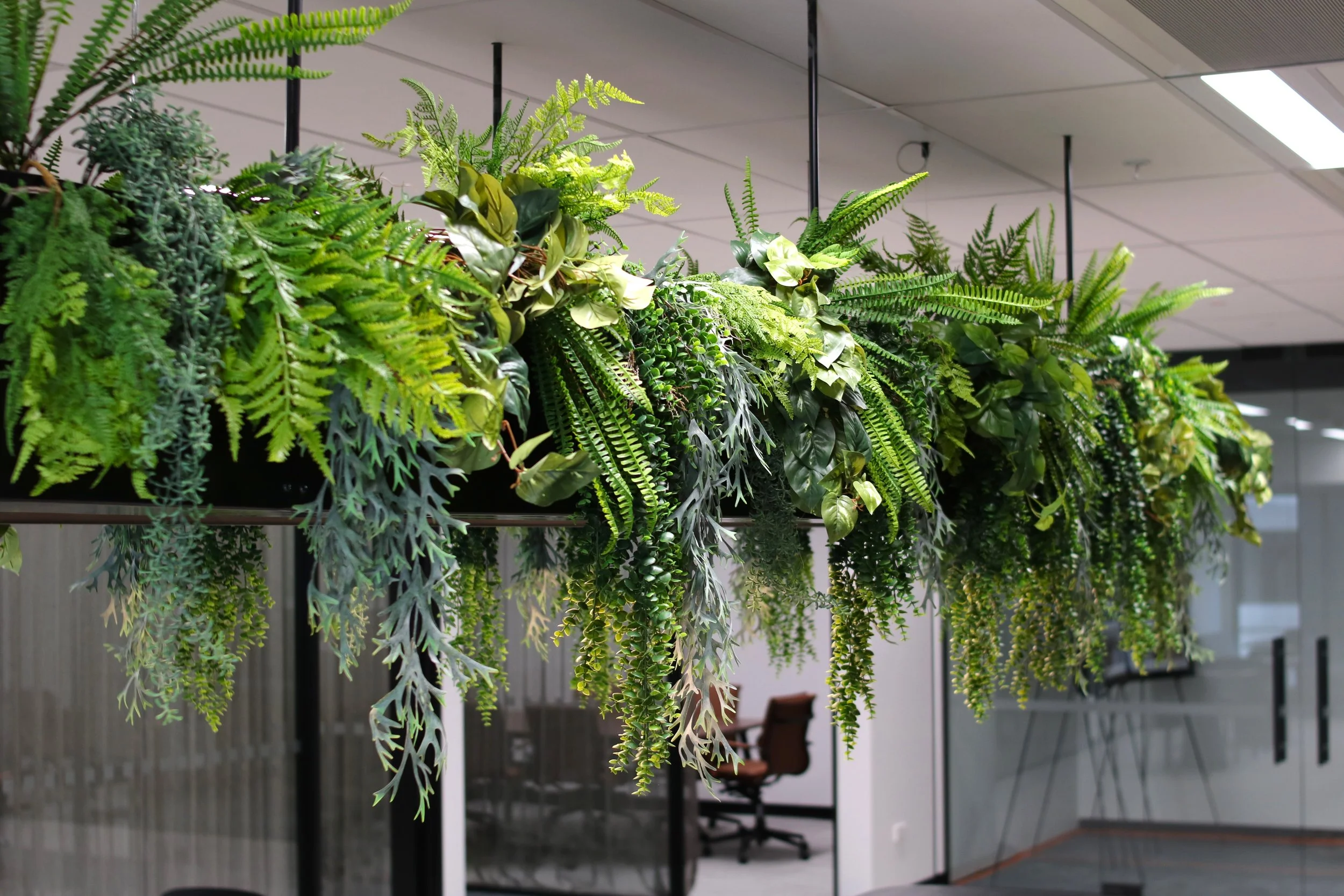 Une décoration intérieure composée de plantes vertes suspendues au plafond dans un espace de bureau moderne.