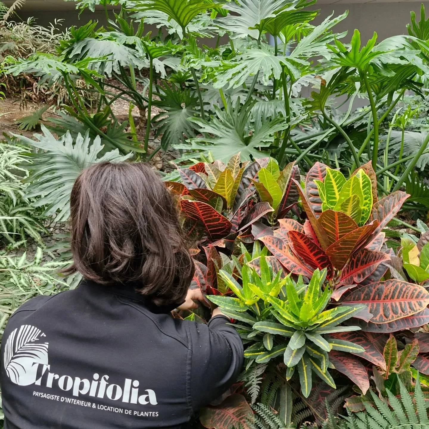 La team @tropifolia.bzh en action !