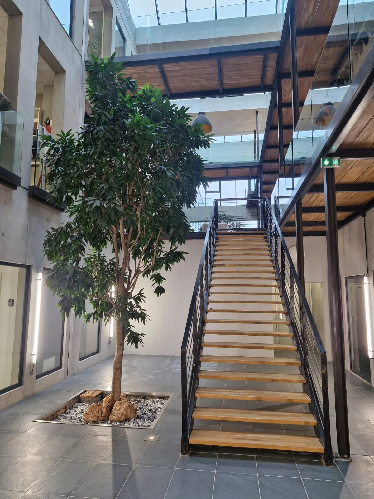 Intérieur moderne avec un escalier en bois et métal, une grande plante verte, murs en béton, fenêtres en verre et un plafond en verre laissant entrer la lumière naturelle.
