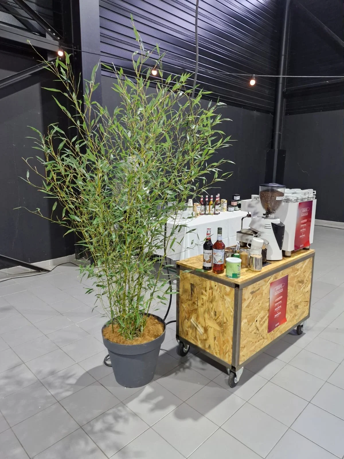 Une grande plante en pot, un stand de machine à café, bouteilles de boissons, et plusieurs petits contenants, dans une pièce avec murs noirs et un sol en carreaux gris.