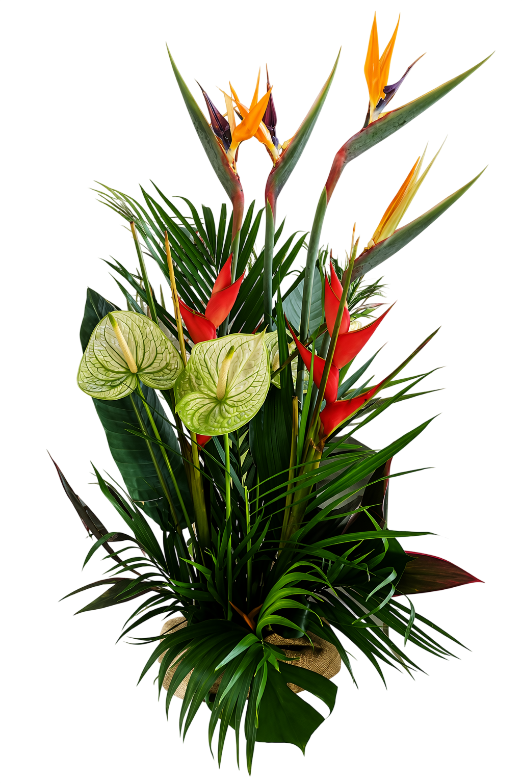 Arrangement floral avec des orchidées, des oiseaux de paradis et diverses feuilles vertes