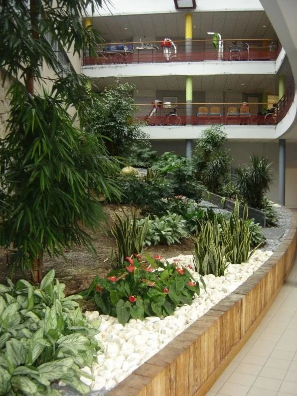 Vaste jardin intérieur avec diverses plantes et fleurs, entouré de balcons de plusieurs étages avec des chaises et des vélos.