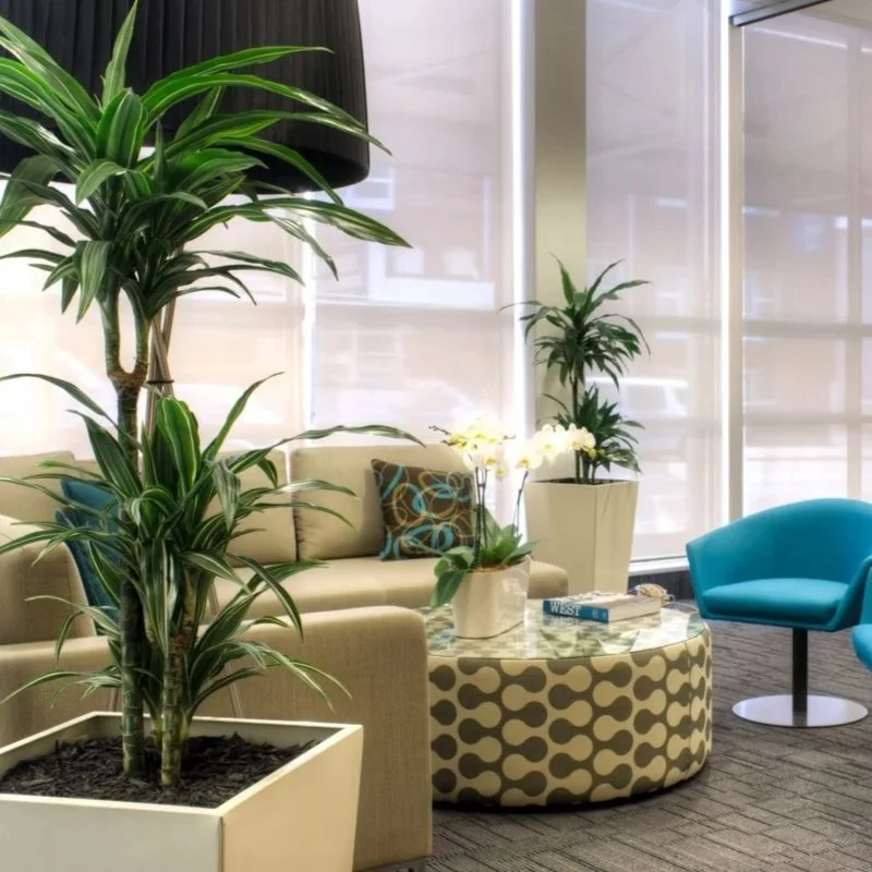 Salon moderne avec un canapé beige, une table ronde avec motif, deux grands pots avec plantes vertes, et des fauteuils bleus, entourés de fenêtres avec volets roulants