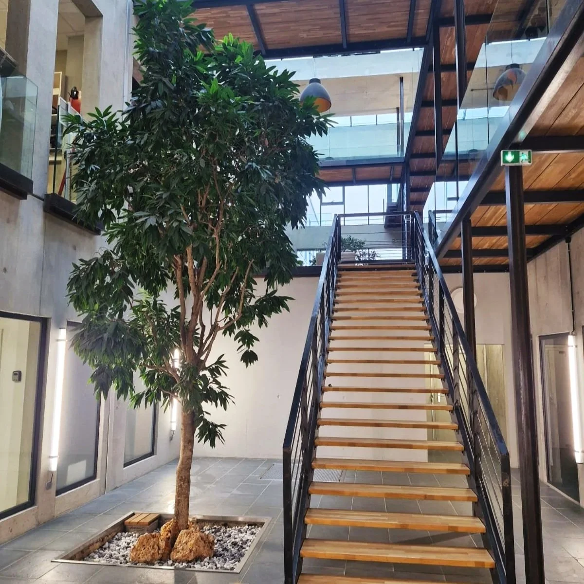 Intérieur moderne avec un arbre d'intérieur et une escalier en bois avec garde-corps en métal, dans un bâtiment contemporain avec plusieurs étages en verre et en bois.