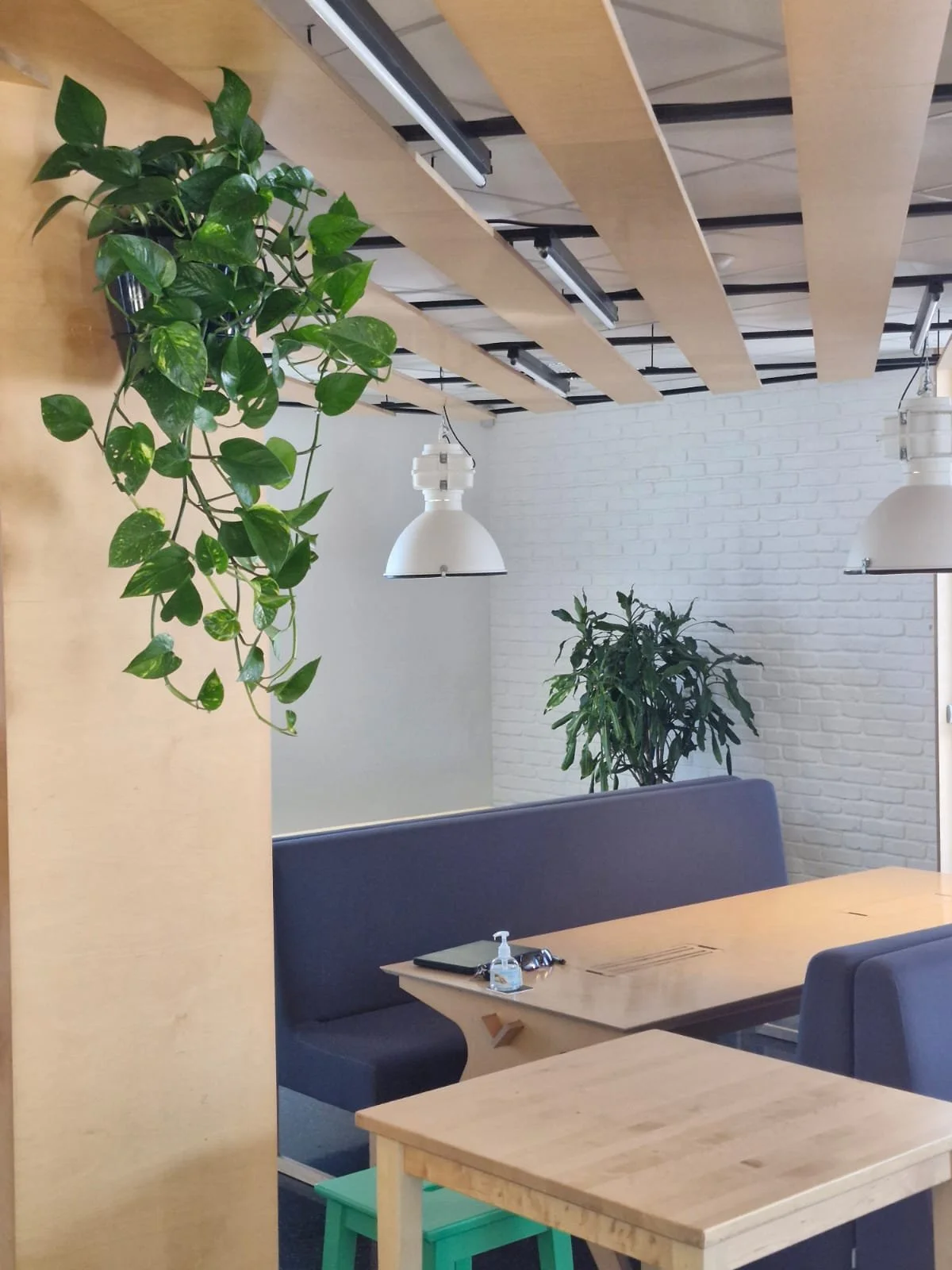 Un espace intérieur avec des plantes vertes suspendues et en pot, des luminaires suspendus, un mur en briques blanches, et une zone de sièges avec des tables en bois.