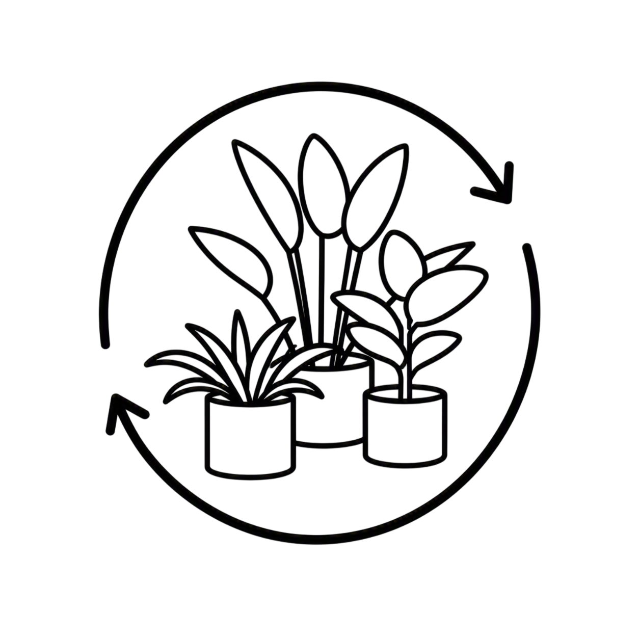 Illustration de deux plantes en pots, une avec une seule fleur et l'autre avec plusieurs feuilles, entourées d'un cercle.