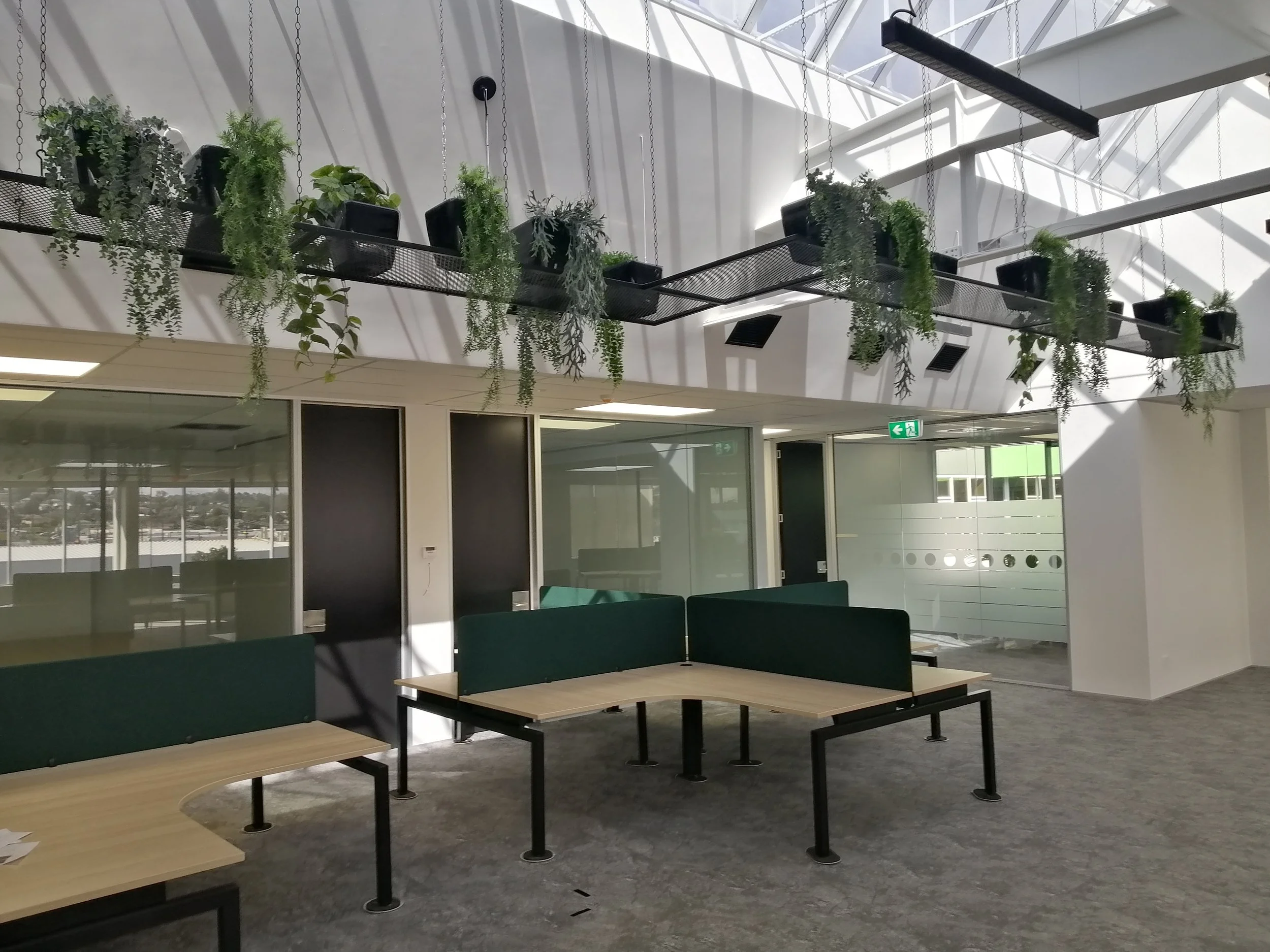 Espace intérieur avec plafond en verre laissant passer la lumière naturelle, plusieurs plantes suspendues et des tables en bois avec des couleurs vert foncé.