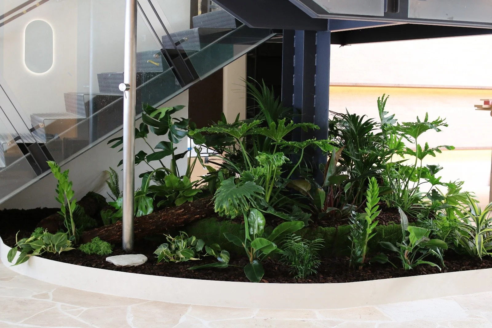 Jardin intérieur avec diverses plantes vertes dans un récipient blanc.