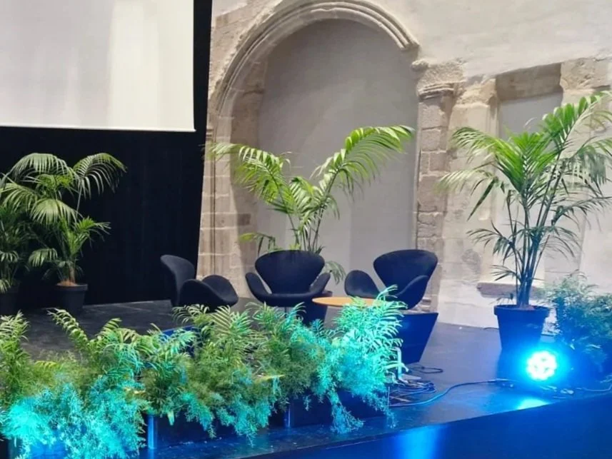 Espace de conférence avec des plantes vertes, des chaises noires et un éclairage bleu.