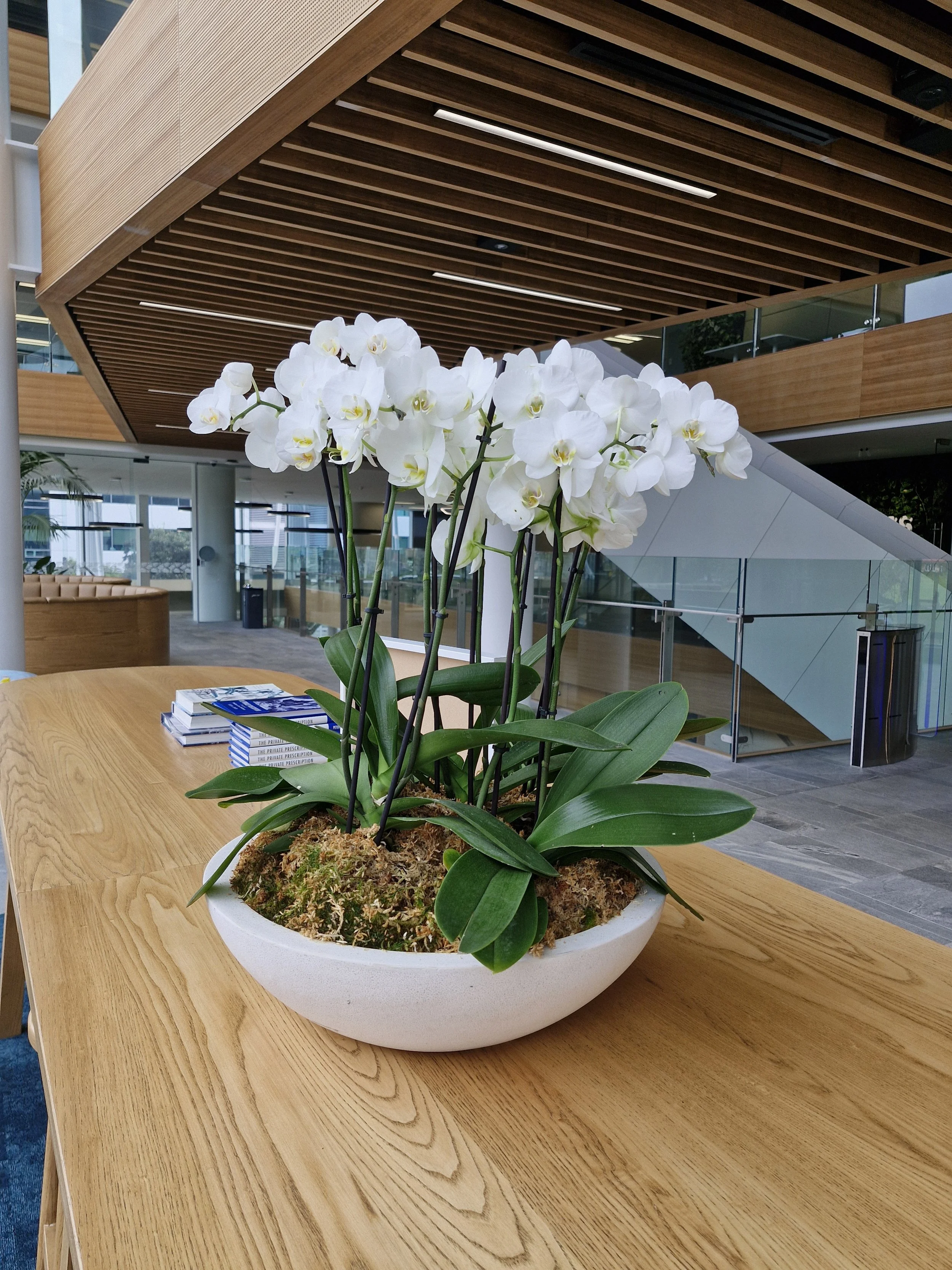 Orchidée blanche dans un pot blanc sur une table en bois dans un espace intérieur moderne.