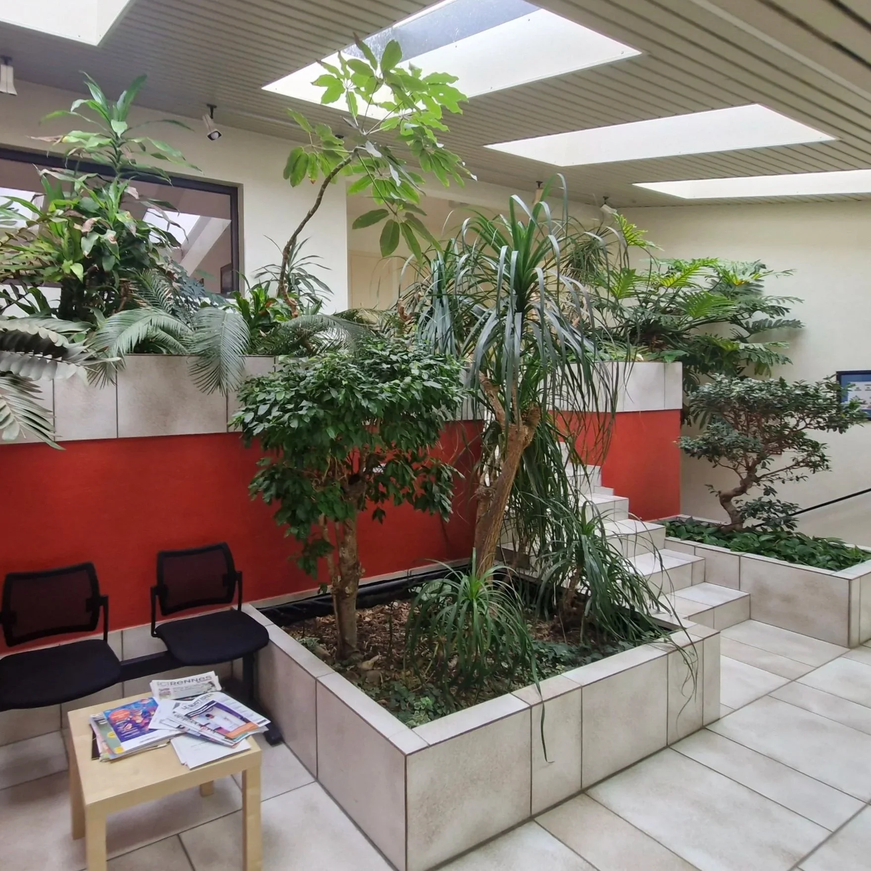 Intérieur d'une salle avec un jardin en son centre, comprenant plusieurs arbres et plantes, un escalier menant à une autre zone, et des chaises alignées contre un mur rouge. La salle est éclairée par des fenêtres au plafond.