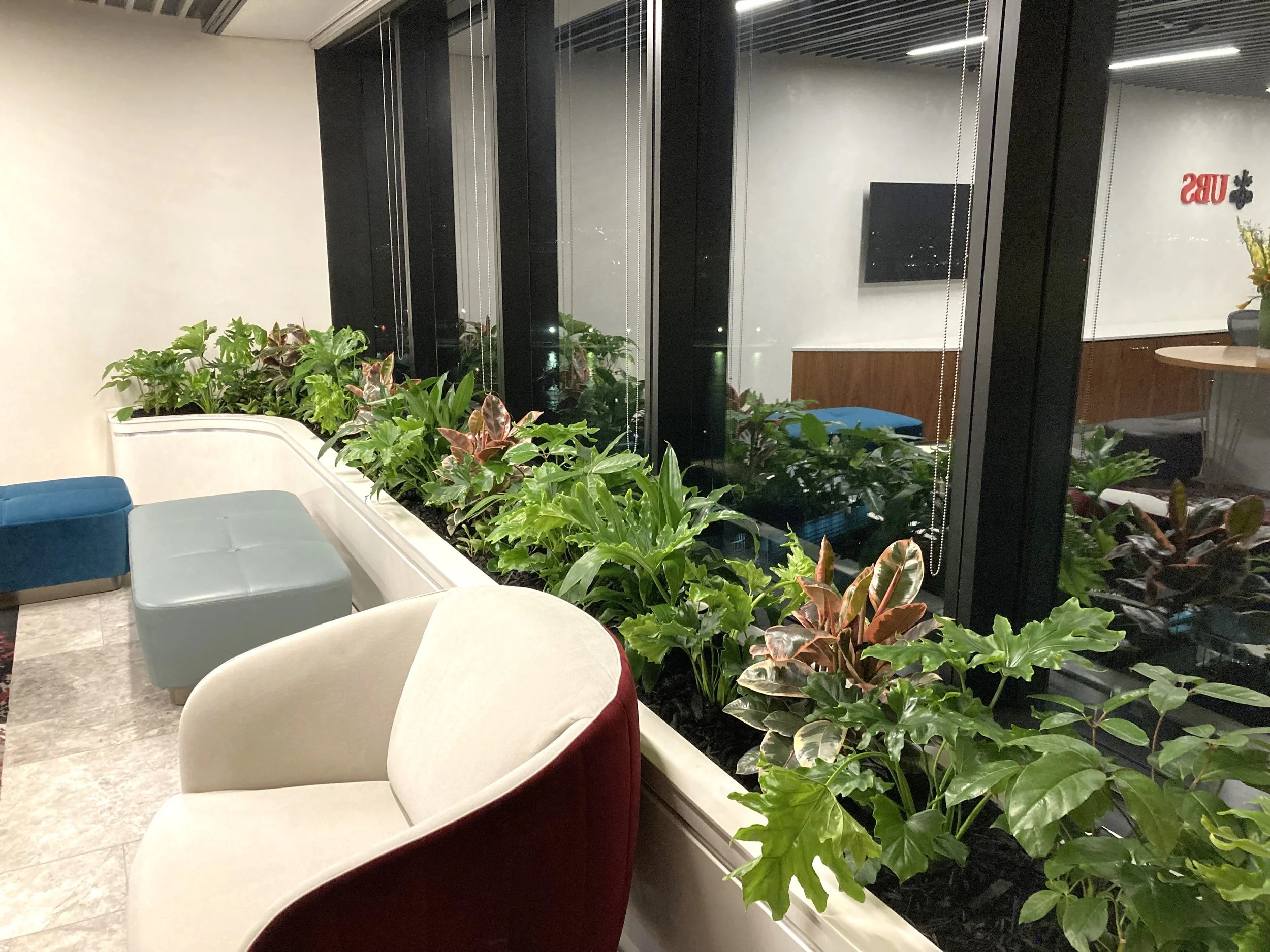 Intérieur d'une salle moderne avec des plantes vertes, des sièges colorés et une grande fenêtre en verre.