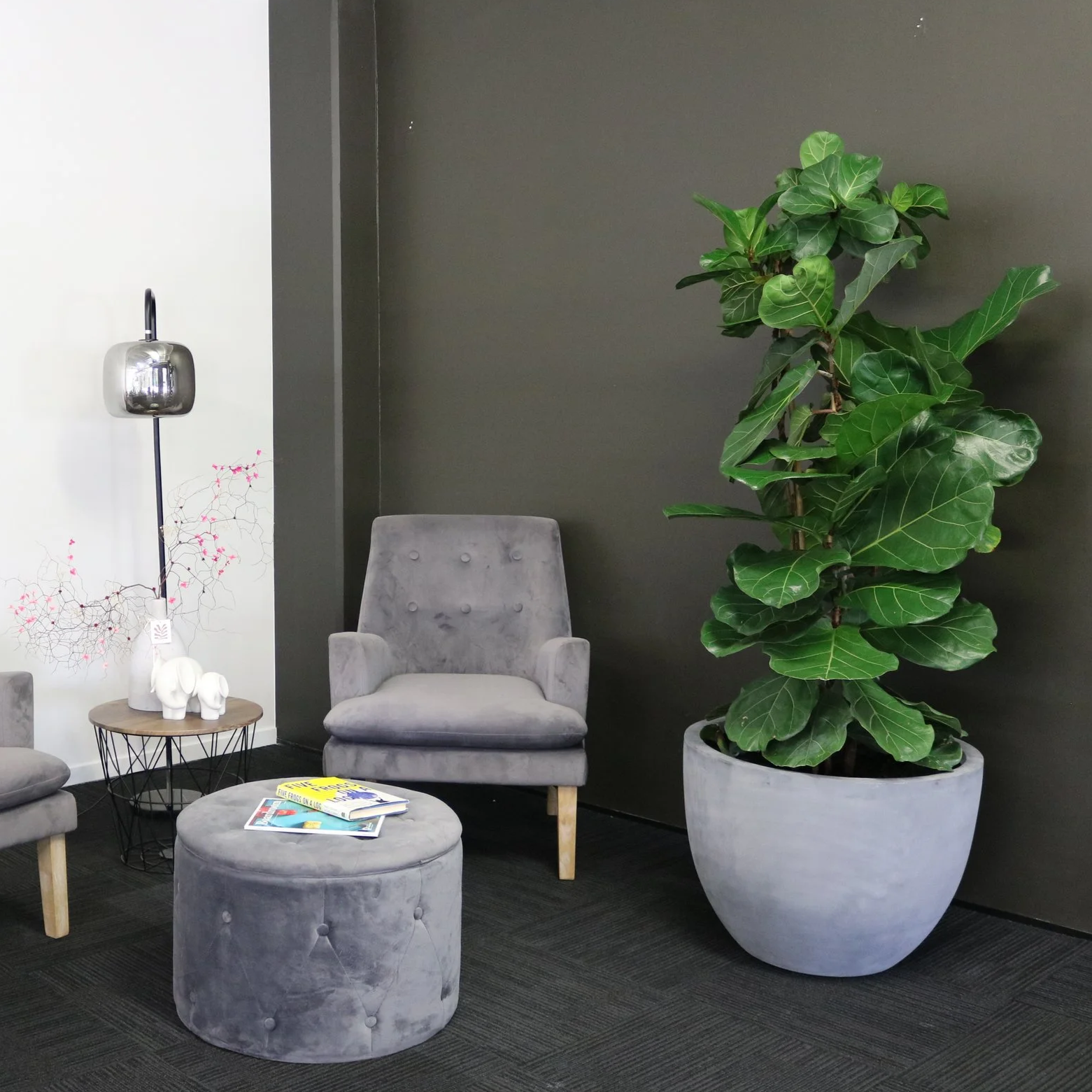 Salon avec deux fauteuils gris en velours, une petite table ronde avec des magazines, un grand pot de fleurs avec un ficus, et une lampe décorative à côté, dans un espace moderne et minimaliste.