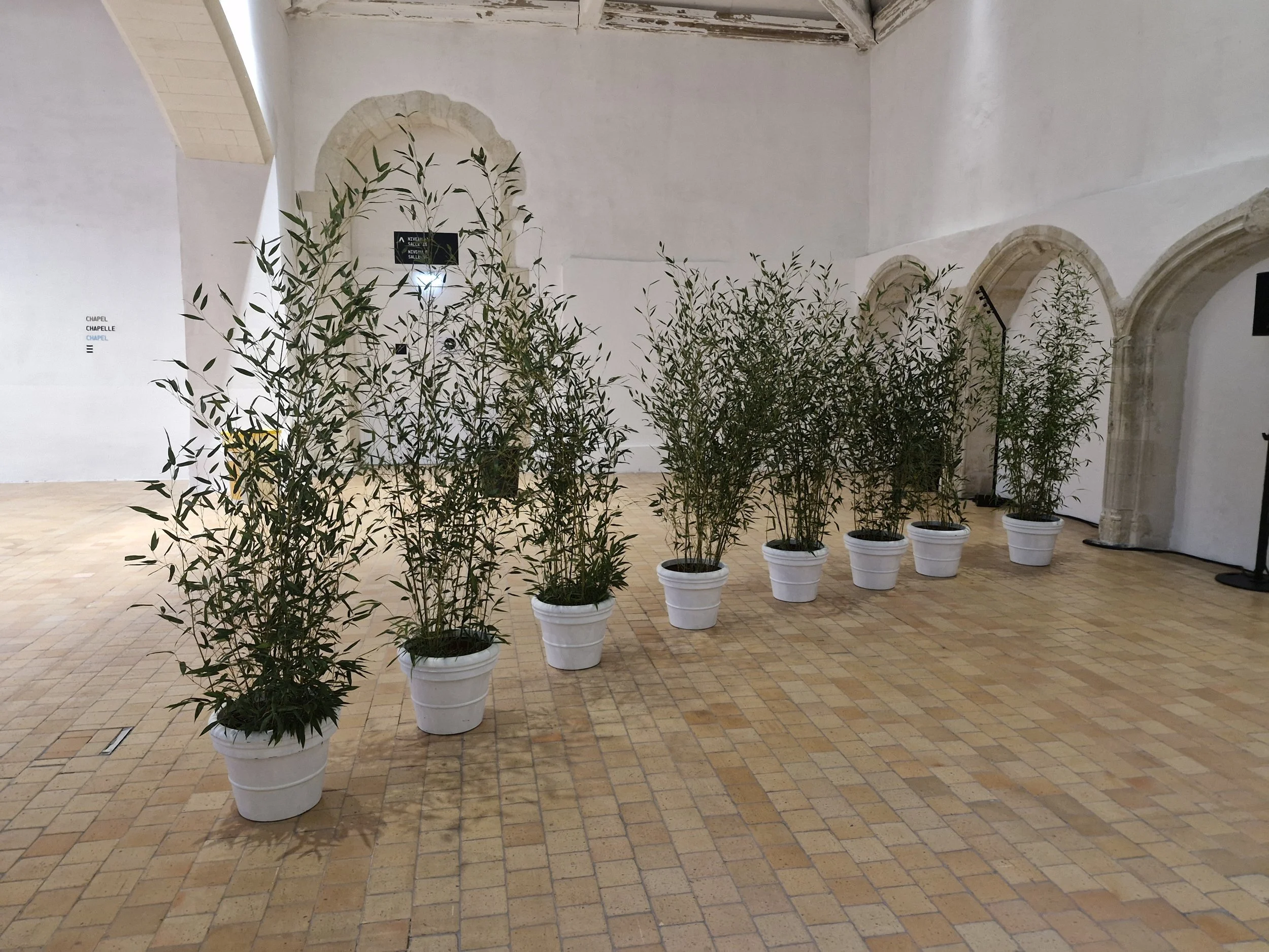 Une rangée de huit pots blanc contenant des arbres verts, placés dans une pièce avec des murs blancs et un sol en carreaux de couleur beige. Sur le mur à gauche, un panneau indique en anglais et français : 'Chapelle'.