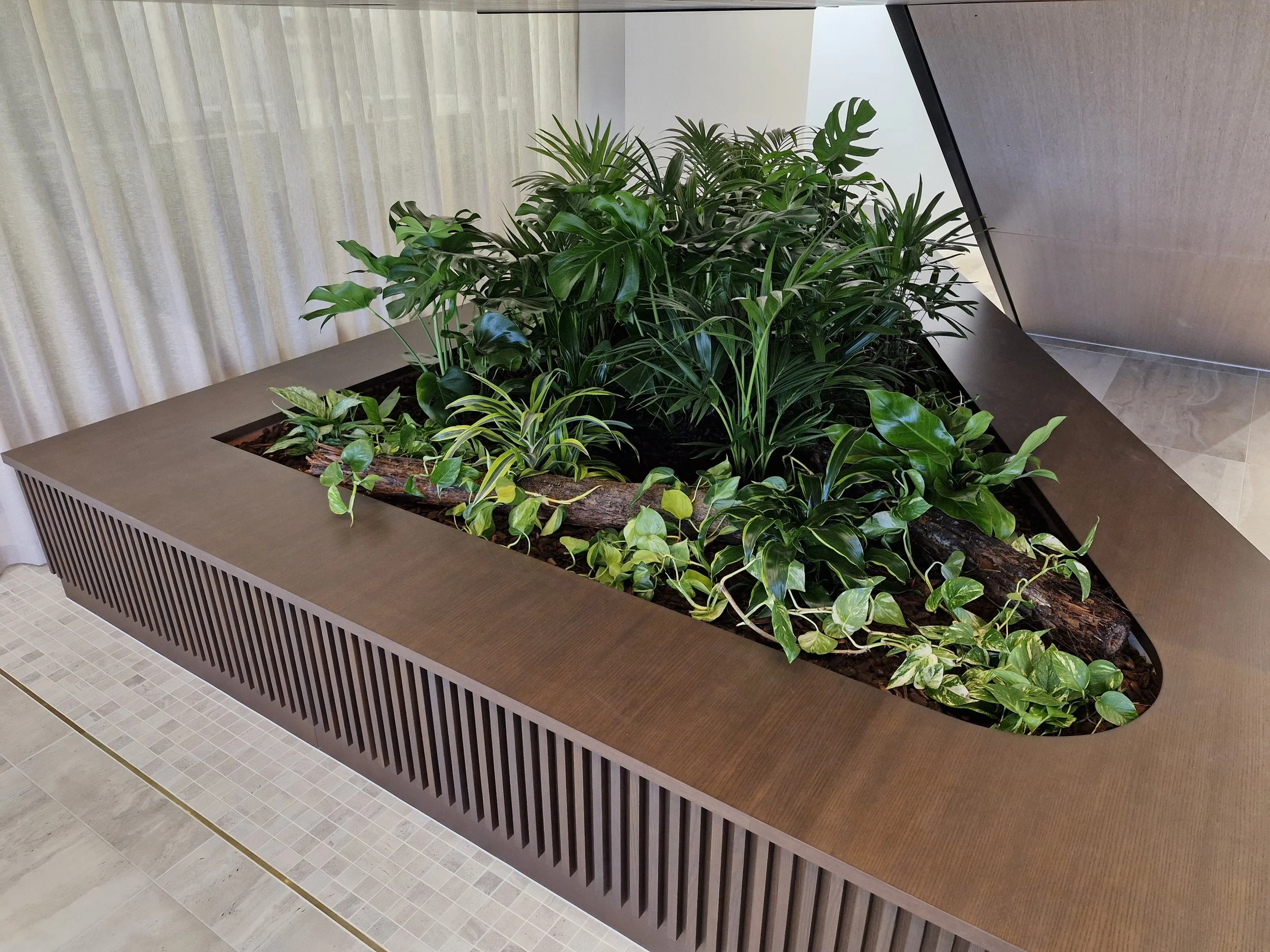Plantes vertes dans un grand bac en intérieur avec murs clairs, sol en carreaux, et une table en bois foncé dessous.
