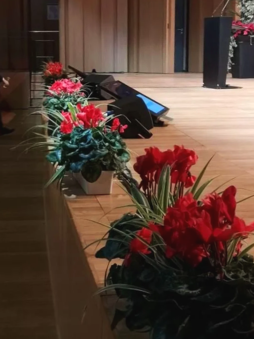 Fleurs rouges et vertes en pots sur le bord d'une scène en bois.