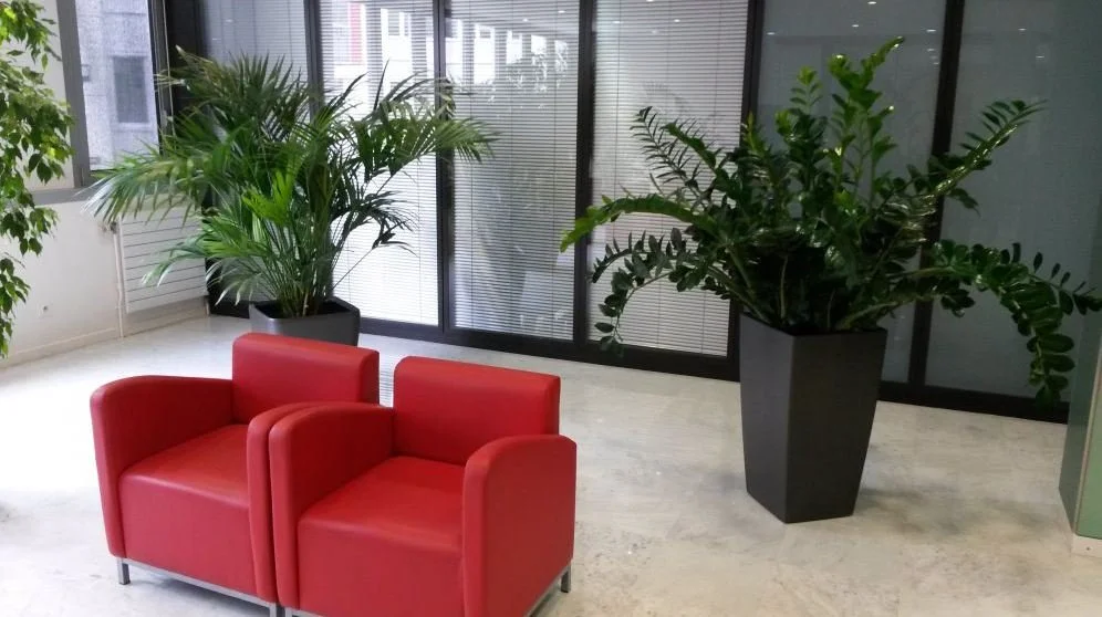 Deux fauteuils rouges en cuir dans une salle avec des plantes vertes en pot et des murs en verre