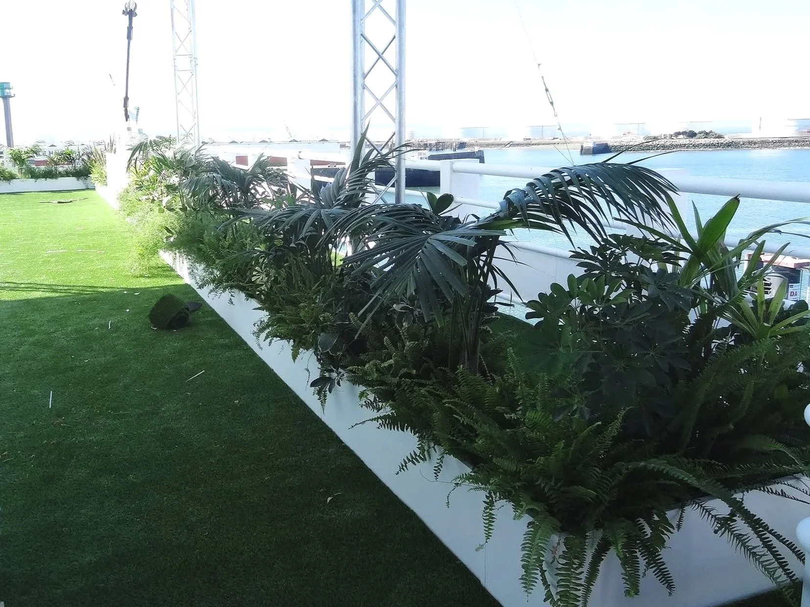 Plantes vertes près d'une rivière avec une jetée et un ciel clair