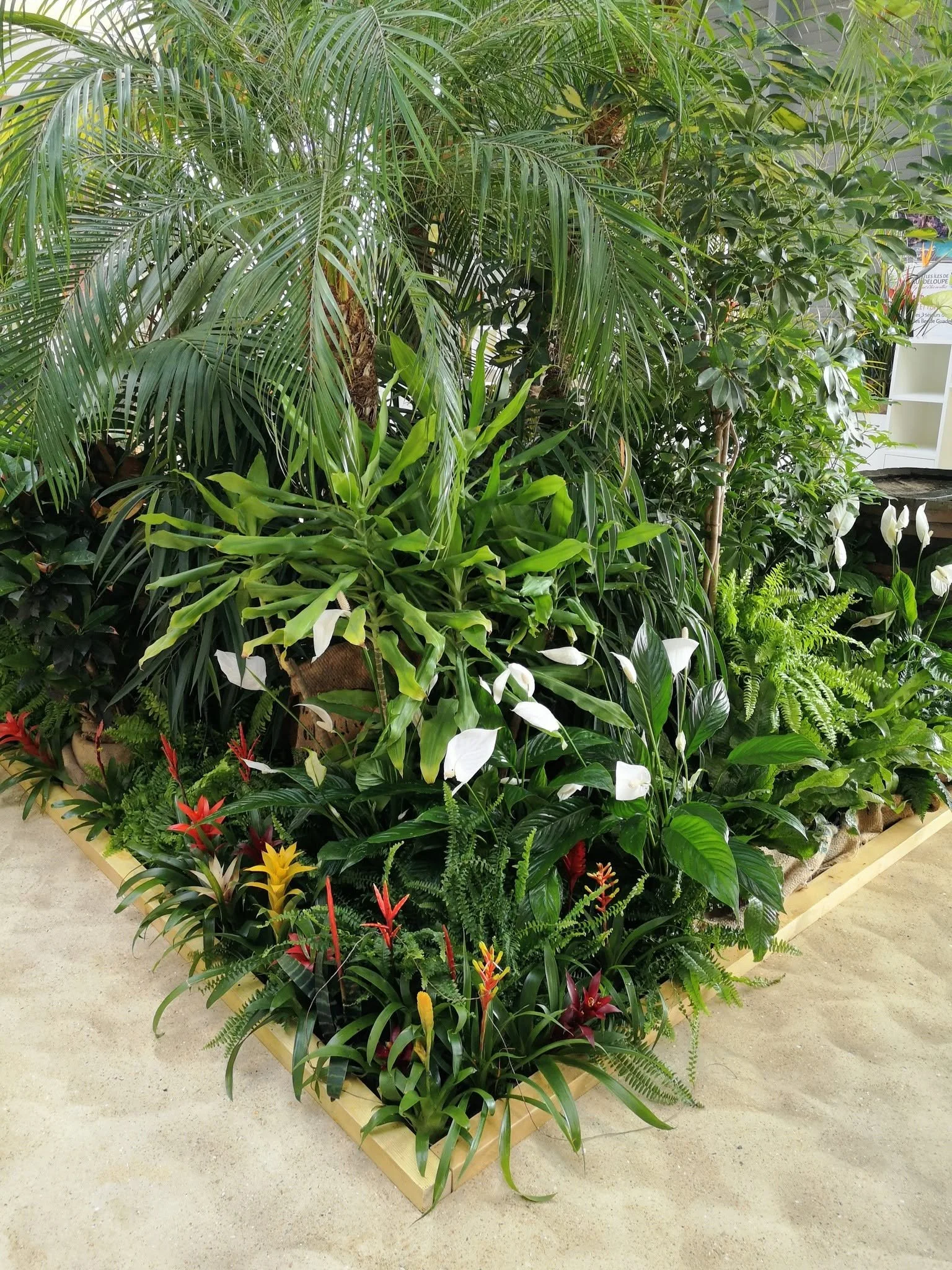 Une jardinière rectangulaire en bois contenant une variété de plantes vertes, dont des palmiers, des fougères, et des fleurs colorées rouges, jaunes et blanches, placée sur un sol en béton.